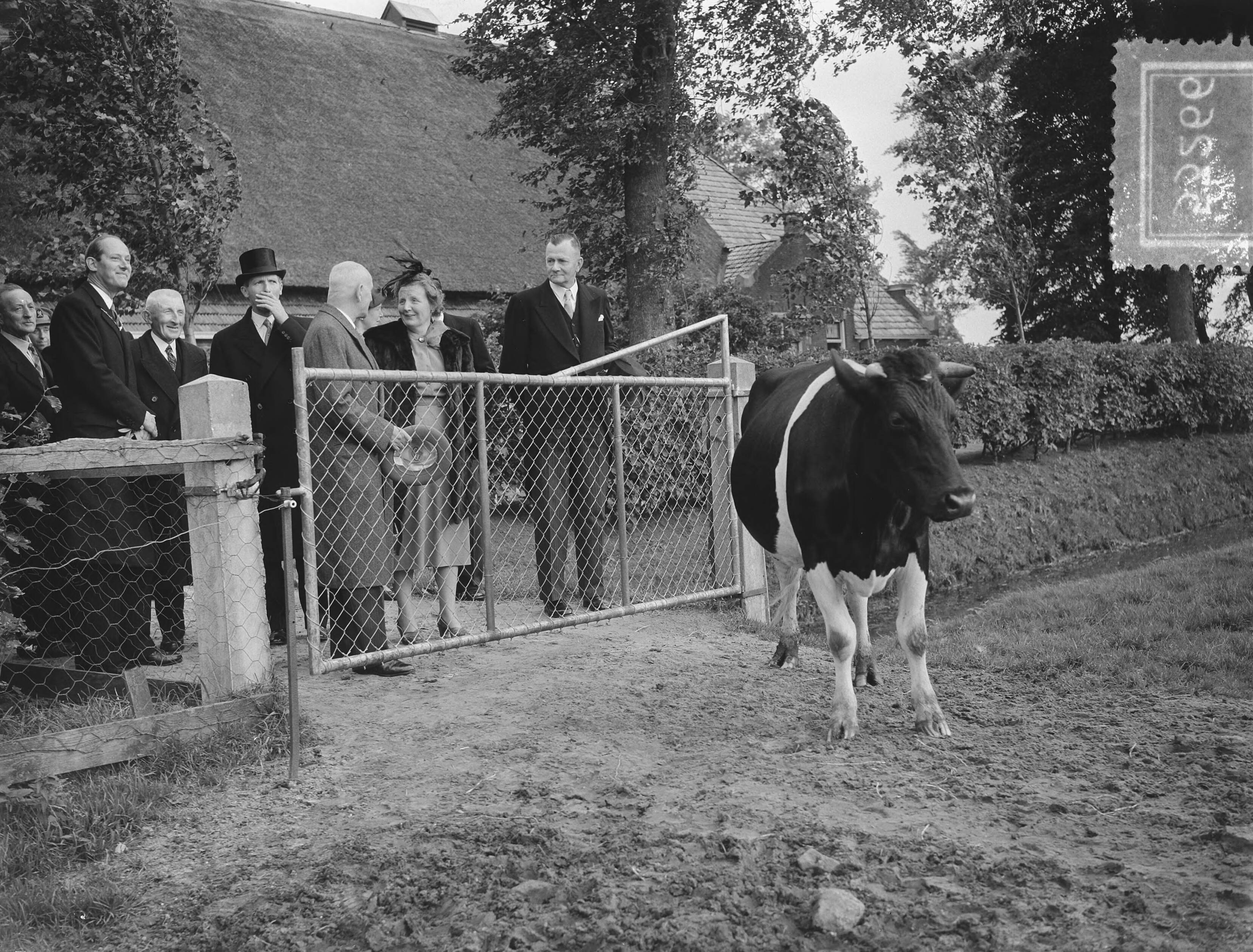 Koningin Juliana bezoekt Leeuwarden — Foto: Bilsen, Joop van / Anefo. — Licentie: Set B: Rechtenvrij / Publiek Domein. Bron: Nationaal Archief. http://hdl.handle.net/10648/a9002394-d0b4-102d-bcf8-003048976d84