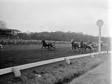 Fotocollectie Anefo — Koersen op Duindigt. Nederland tegen België, winnaar Night Rose , v.l.n.r. Night Rose (Belgie) 1 , Urubu S (Nederland) 2 , en New Quick (Belgie) 2 — Foto: Behrens, Herbert F. / Anefo. Licentie: Set B: Rechtenvrij / Publiek Domein. Bron: Nationaal Archief. http://hdl.handle.net/10648/a9873834-d0b4-102d-bcf8-003048976d84