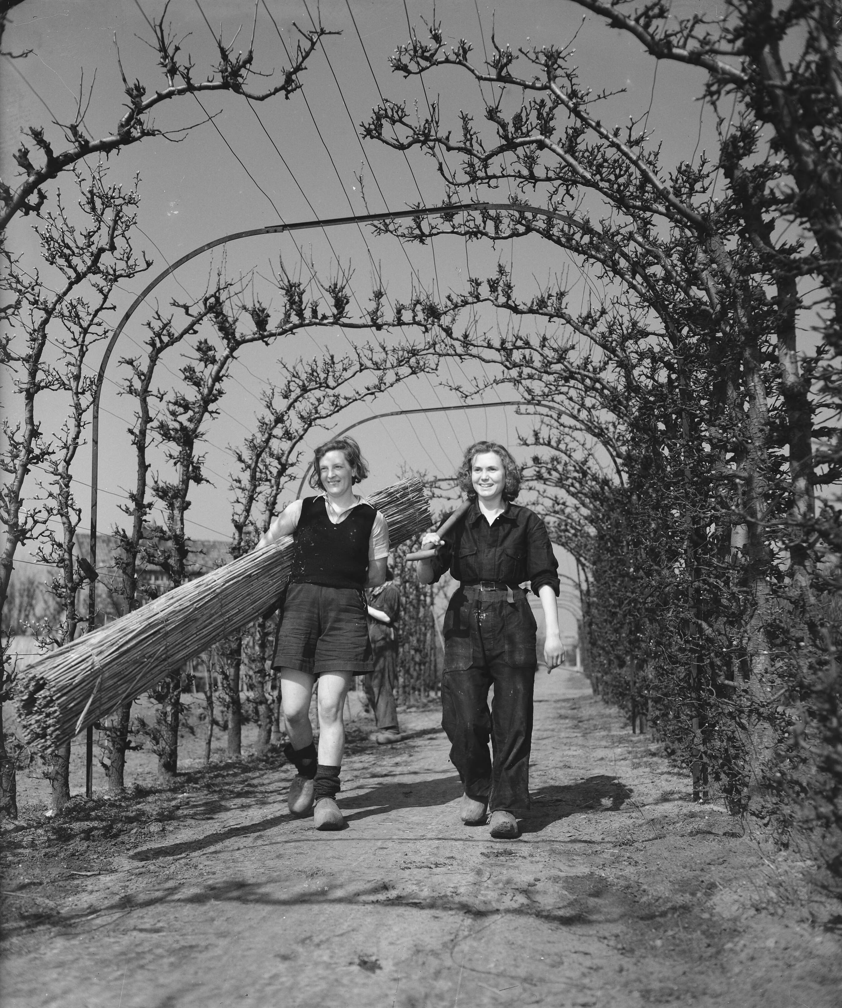 Fotocollectie Anefo — Tuinbouwschool "Huize te Lande" te Rijswijk — Foto: Raucamp, Koos / Anefo. Licentie: Set B: Rechtenvrij / Publiek Domein. Bron: Nationaal Archief. http://hdl.handle.net/10648/a89b4de8-d0b4-102d-bcf8-003048976d84