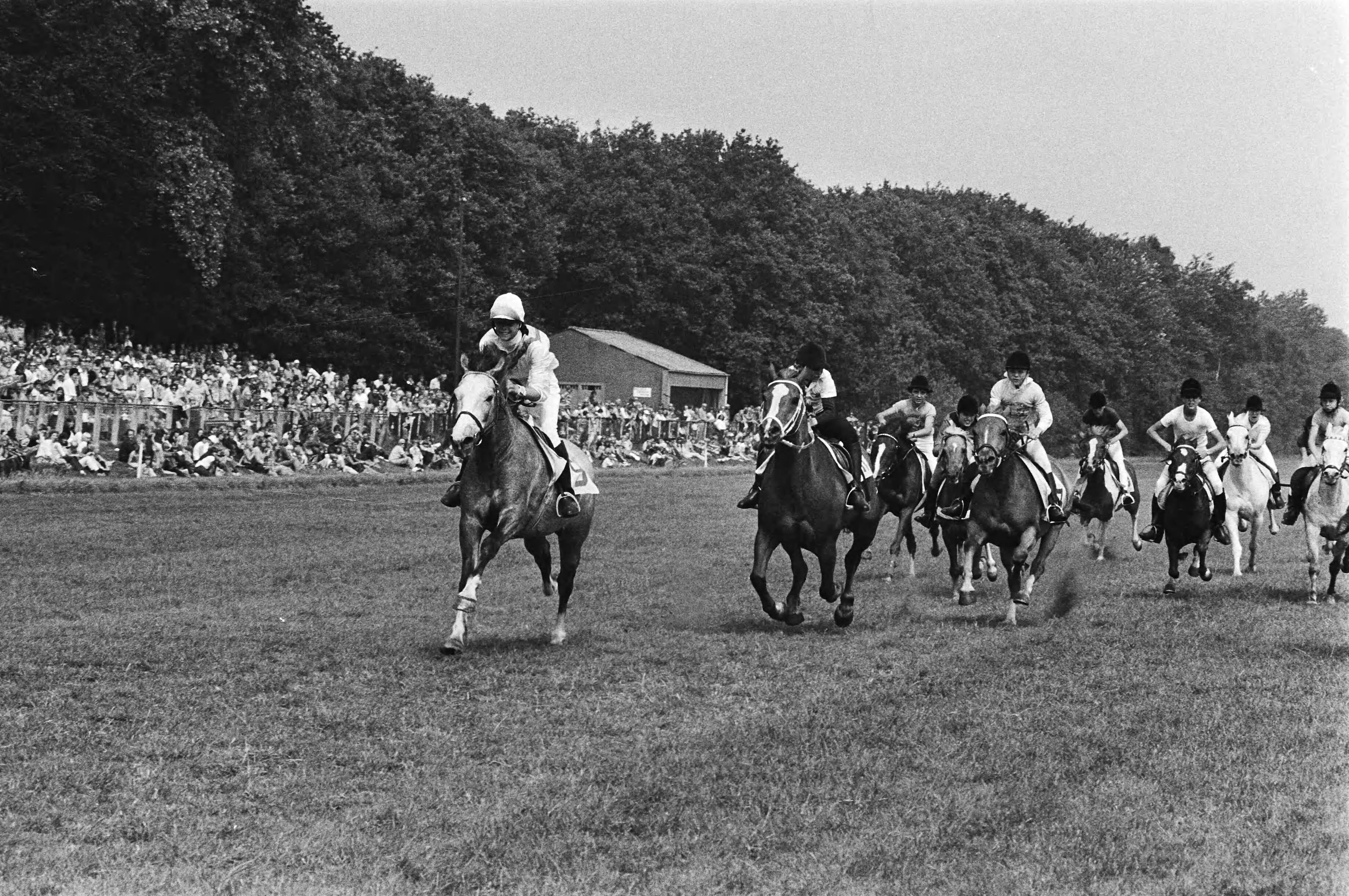 Dag van het Paard op Duindigt — Duindigt|Zuid-Holland|Wassenaar|paarden |draf- en rensport|Duindigt — Foto: Suyk, Koen / Anefo. Licentie: Set B: Rechtenvrij / Publiek Domein. Bron: Nationaal Archief. http://hdl.handle.net/10648/acce40a0-d0b4-102d-bcf8-003048976d84