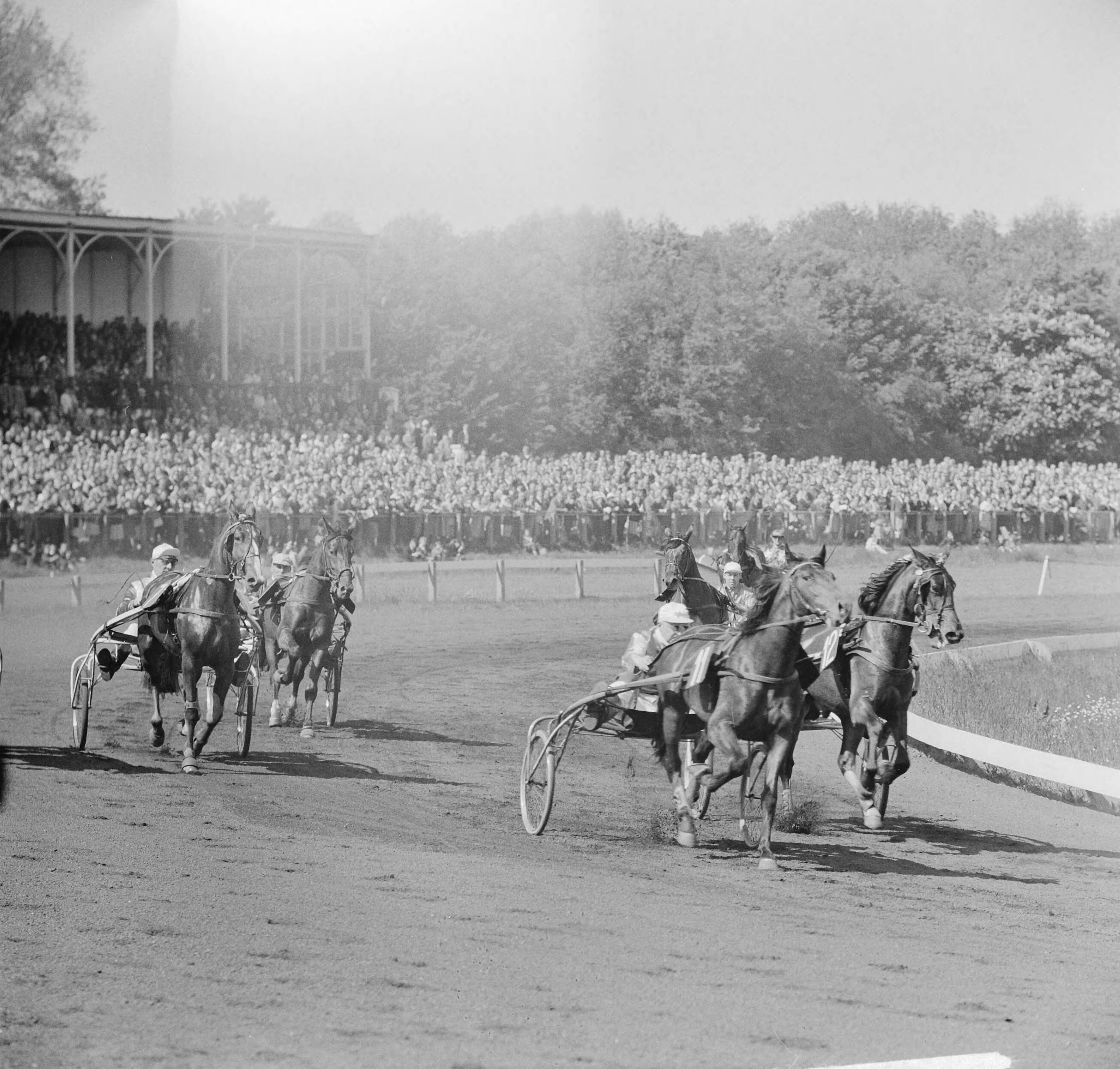 Fotocollectie Anefo — Derby op Duindigt (Flocondor) — Foto: Nijs, Jac. de / Anefo. Licentie: Set B: Rechtenvrij / Publiek Domein. Bron: Nationaal Archief. http://hdl.handle.net/10648/aa0b0e0c-d0b4-102d-bcf8-003048976d84