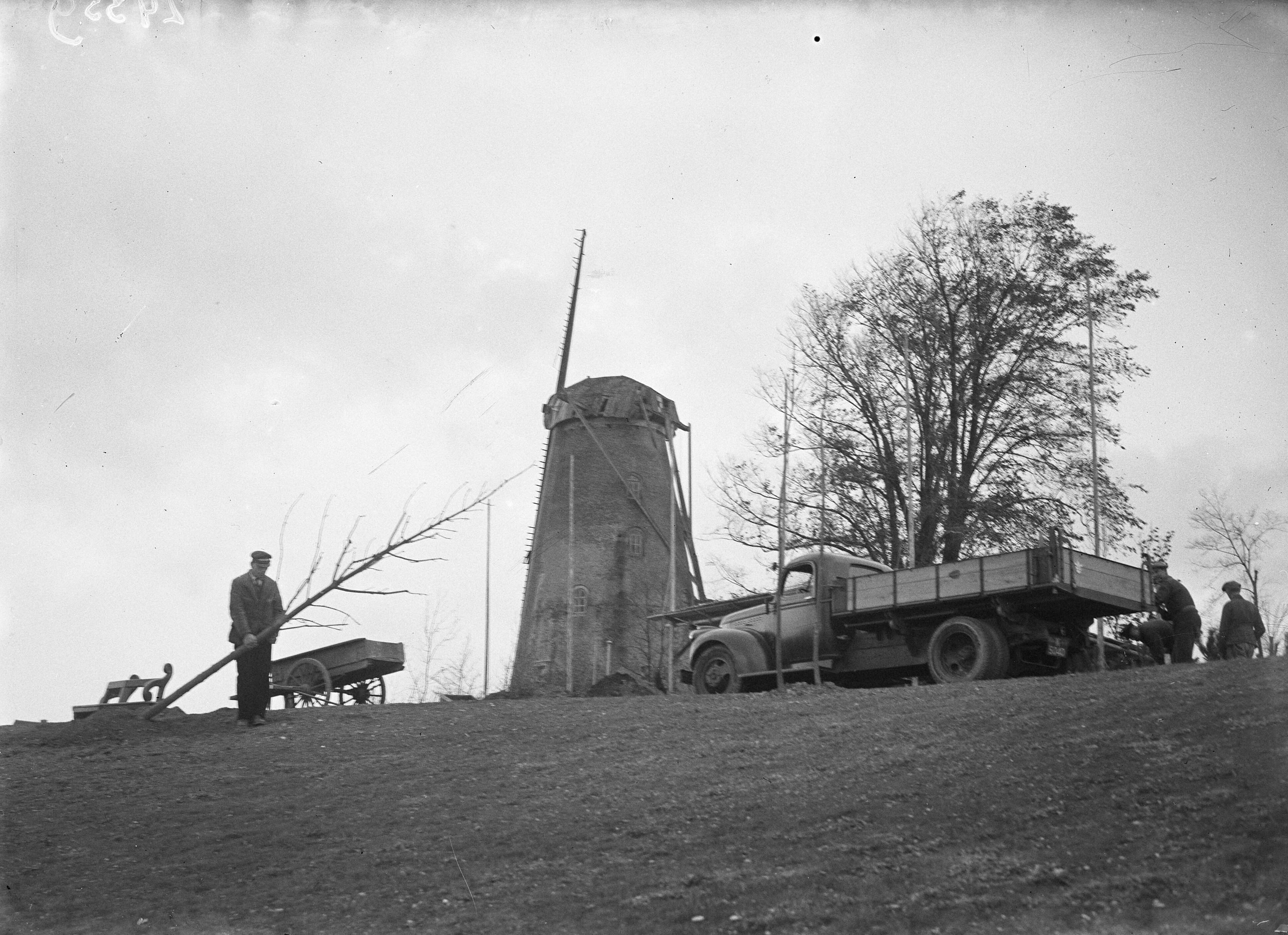 Fotocollectie Anefo — De bomen die prinses Juliana zal planten tijdens Boomplantdag [Seisbolwerk Middelburg] — Foto: Sagers, Harry / Anefo. Licentie: Set B: Rechtenvrij / Publiek Domein. Bron: Nationaal Archief. http://hdl.handle.net/10648/a8af0cf2-d0b4-102d-bcf8-003048976d84