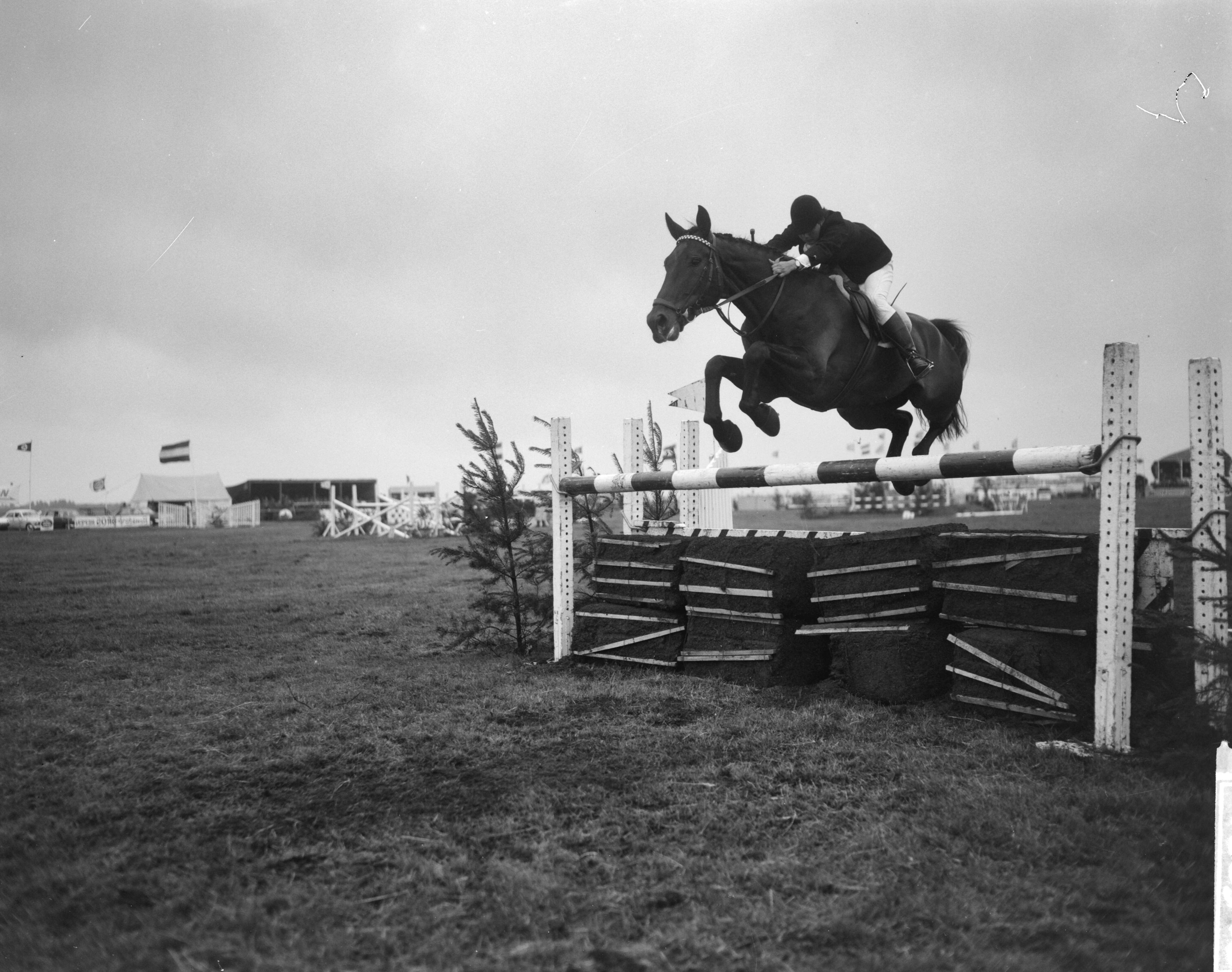 Fotocollectie Anefo — 18e Nationale Concours Hippique te Blaricum. Nederlands kampioenschap voor jachtpaarden. Een combinatie gaat over een hindernis — Foto: Bilsen, Joop van / Anefo. Licentie: Set B: Rechtenvrij / Publiek Domein. Bron: Nationaal Archief. http://hdl.handle.net/10648/aa704e7a-d0b4-102d-bcf8-003048976d84