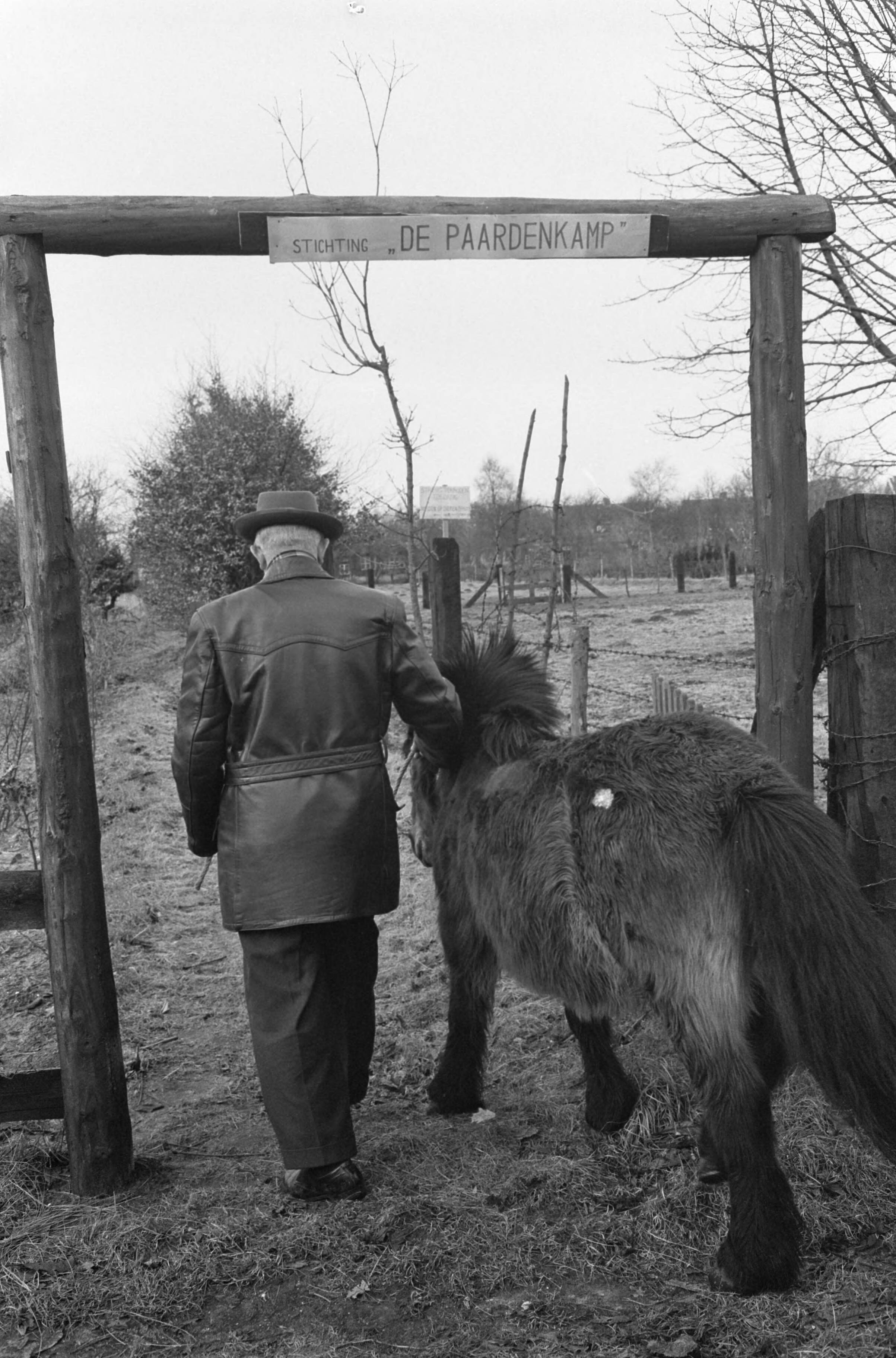 Fotocollectie Anefo — Rusthuis voor paarden, de "Paardenkamp" te Soest. De eerste bewoner is een 16-jarige Shetland-pony, waarvan de baas ziek is — Foto: Pot, Harry / Anefo. Licentie: Set B: Rechtenvrij / Publiek Domein. Bron: Nationaal Archief. http://hdl.handle.net/10648/a9f826b6-d0b4-102d-bcf8-003048976d84