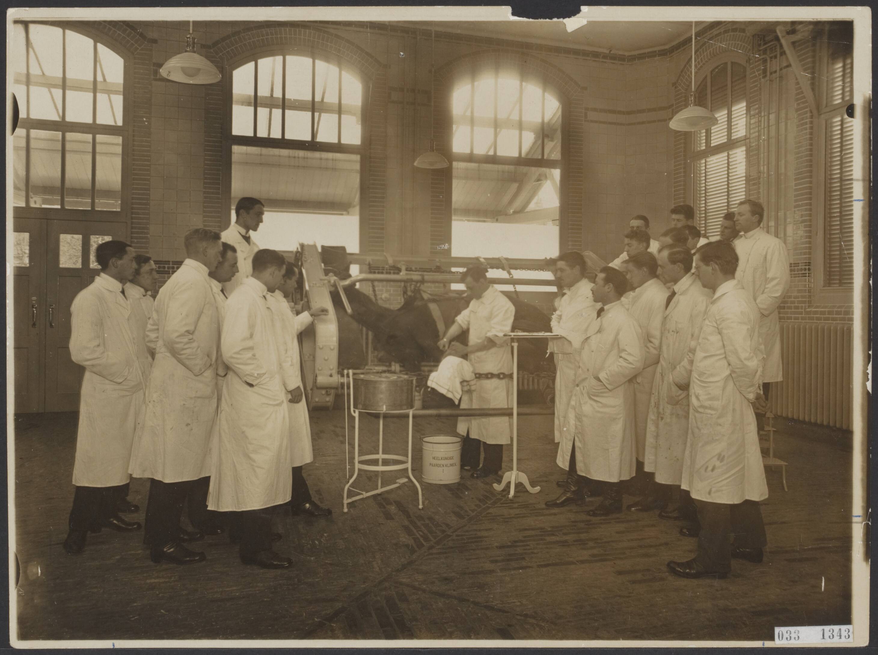 Fotocollectie Elsevier Binnenland — Praktijkonderwijs Rijksveeartsenijschool te Utrecht — Foto: N.V. Vereenigde Fotobureaux. Licentie: Set B: Rechtenvrij / Publiek Domein. Bron: Nationaal Archief. http://hdl.handle.net/10648/ade76ce6-d0b4-102d-bcf8-003048976d84