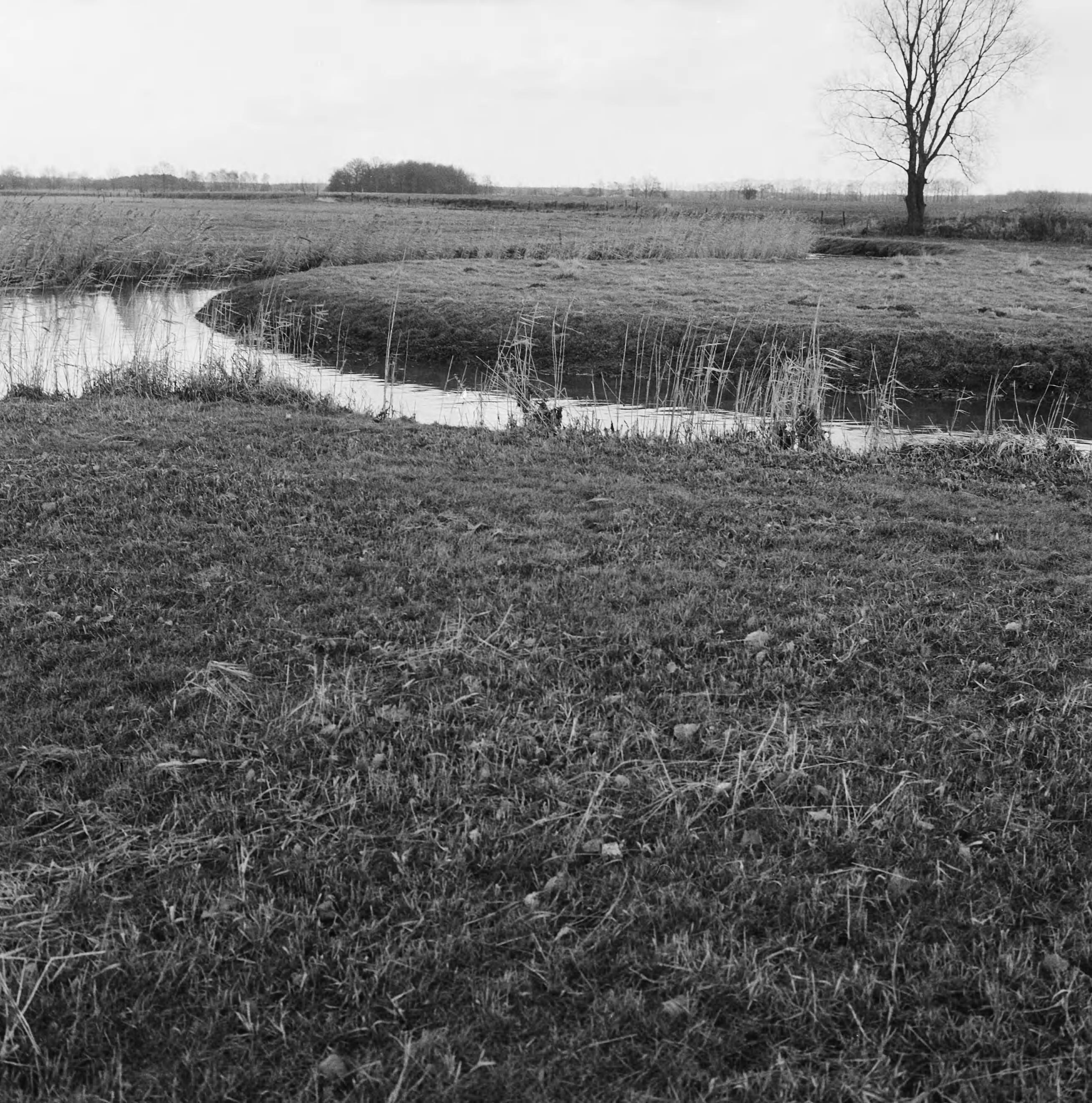 Fotocollectie Nederlandse Heidemaatschappij — Ruilverkaveling Essche Stroom vak III (bestaande toestand). De Essche Stroom ongeveer in het midden van Vak III — Foto: Wüllschleger, [...] / Heidemij. Licentie: Set B: Rechtenvrij / Publiek Domein. Bron: Nationaal Archief. http://hdl.handle.net/10648/ae745980-d0b4-102d-bcf8-003048976d84