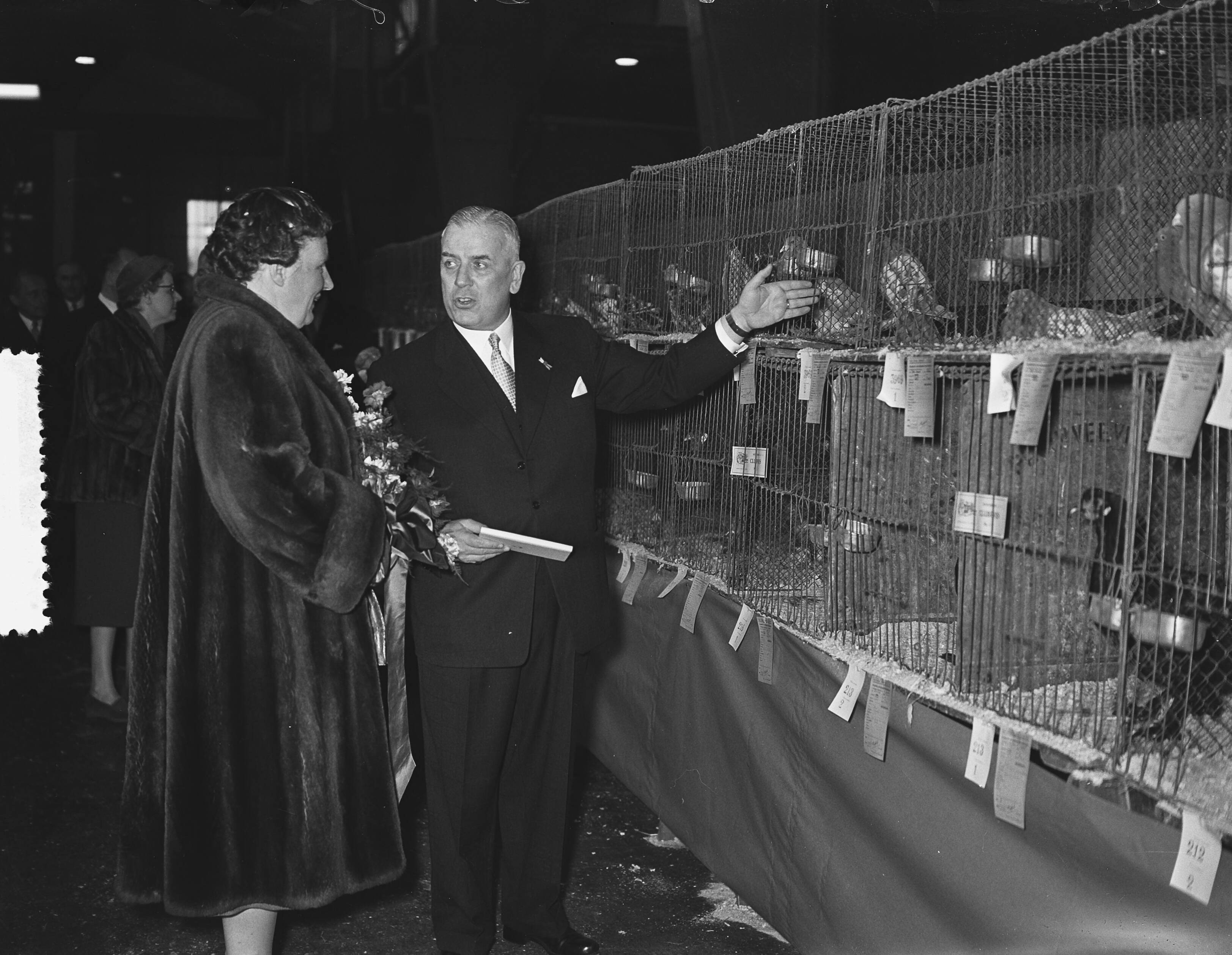 Fotocollectie Anefo — Koningin Juliana bezoekt de 60ste tentoonstelling van "Avicultura" in de Houtrusthallen te Den Haag — Foto: Bilsen, Joop van / Anefo. Licentie: Set B: Rechtenvrij / Publiek Domein. Bron: Nationaal Archief. http://hdl.handle.net/10648/a941d546-d0b4-102d-bcf8-003048976d84