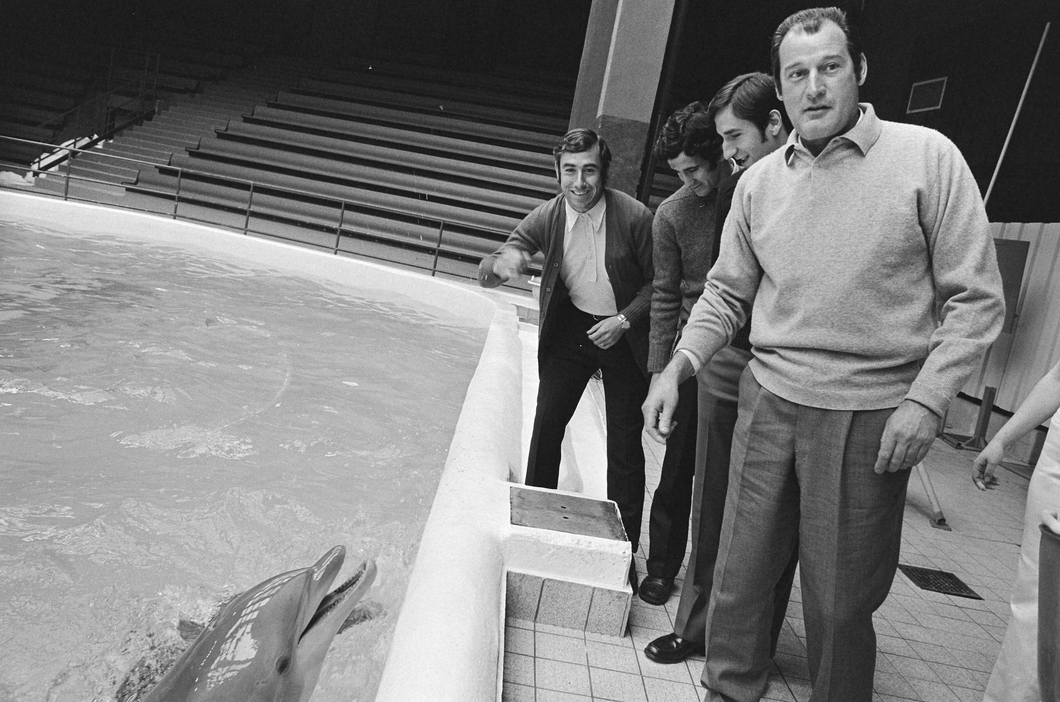 Elftal van Atletico Madrid in het Dolfinarium te Zandvoort — Voeren van de dolfijnen — Foto: Fotograaf Onbekend / Anefo. Licentie: Set B: Rechtenvrij / Publiek Domein. Bron: Nationaal Archief. http://hdl.handle.net/10648/abbcfd28-d0b4-102d-bcf8-003048976d84