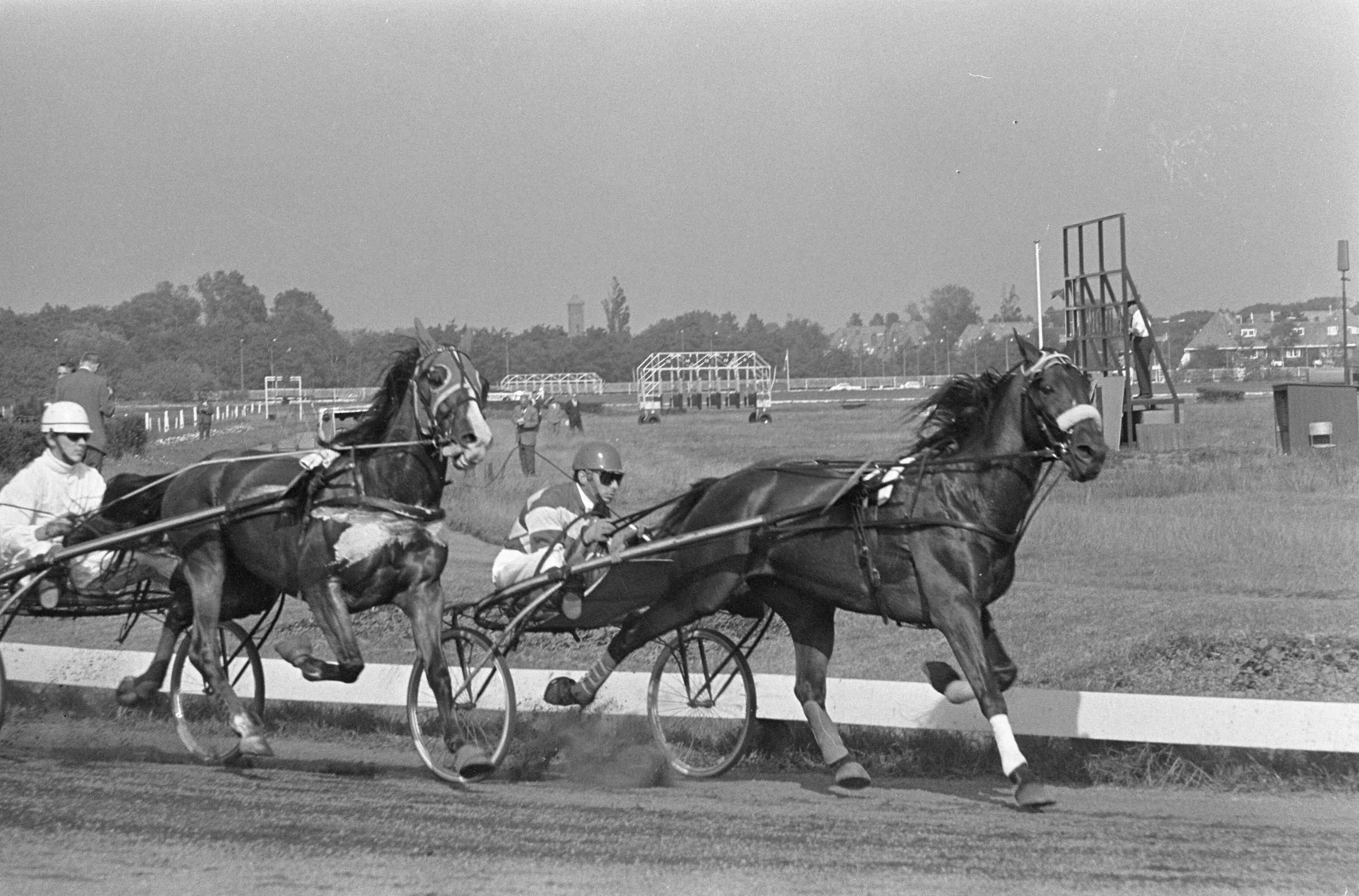 Fotocollectie Anefo — Draverij te Duindigt, Kampioenschap van Nederland, voorop kampioen Quicksilver S met rijder J. Wagenaar jr. — Foto: Nijs, Jac. de / Anefo. Licentie: Set B: Rechtenvrij / Publiek Domein. Bron: Nationaal Archief. http://hdl.handle.net/10648/aaf7001e-d0b4-102d-bcf8-003048976d84