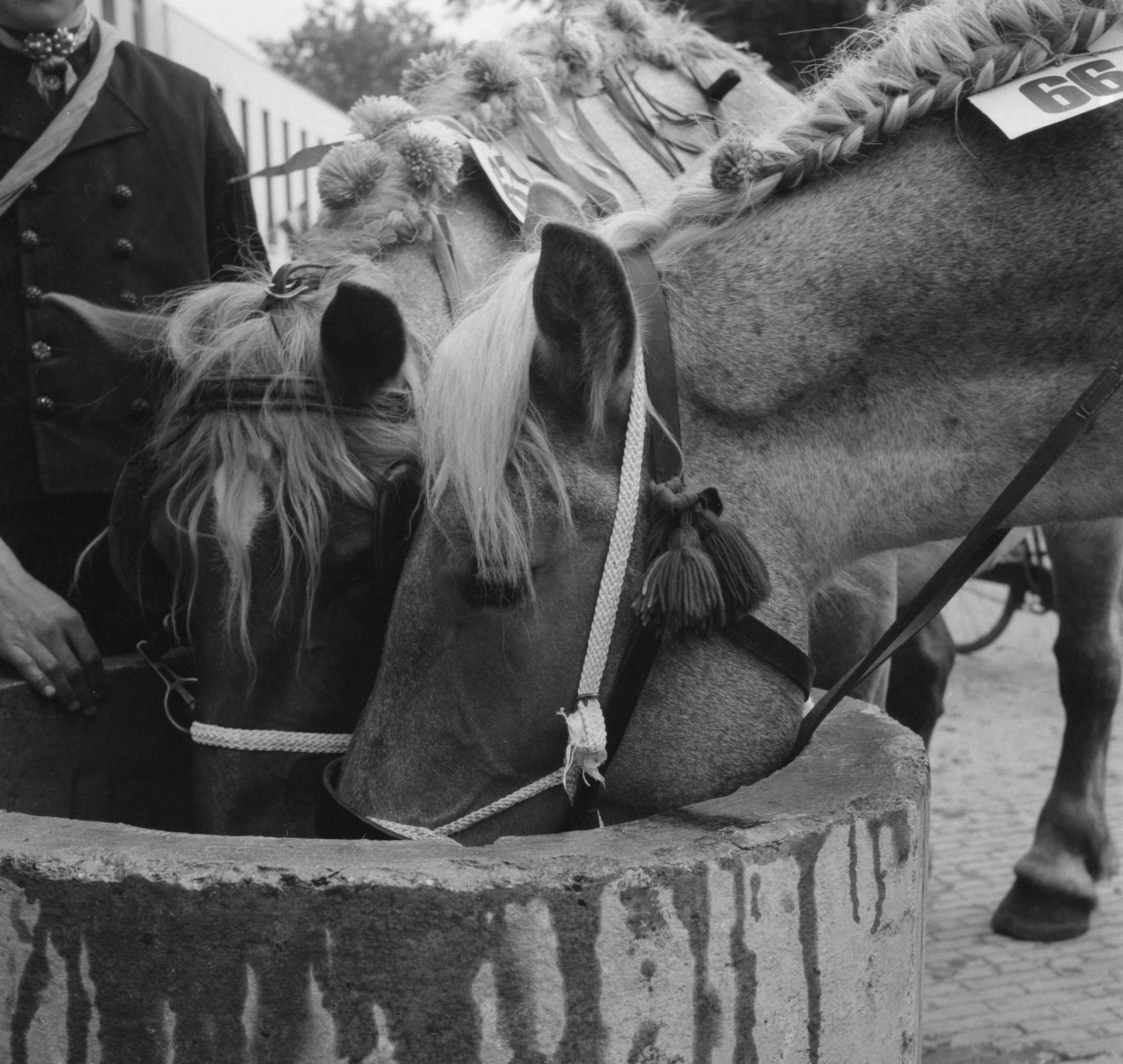 Ringsteken in Middelburg — Ringrijden in Middelburg — Foto: Noske, J.D. / Anefo. Licentie: Set B: Rechtenvrij / Publiek Domein. Bron: Nationaal Archief. http://hdl.handle.net/10648/a8de04ee-d0b4-102d-bcf8-003048976d84