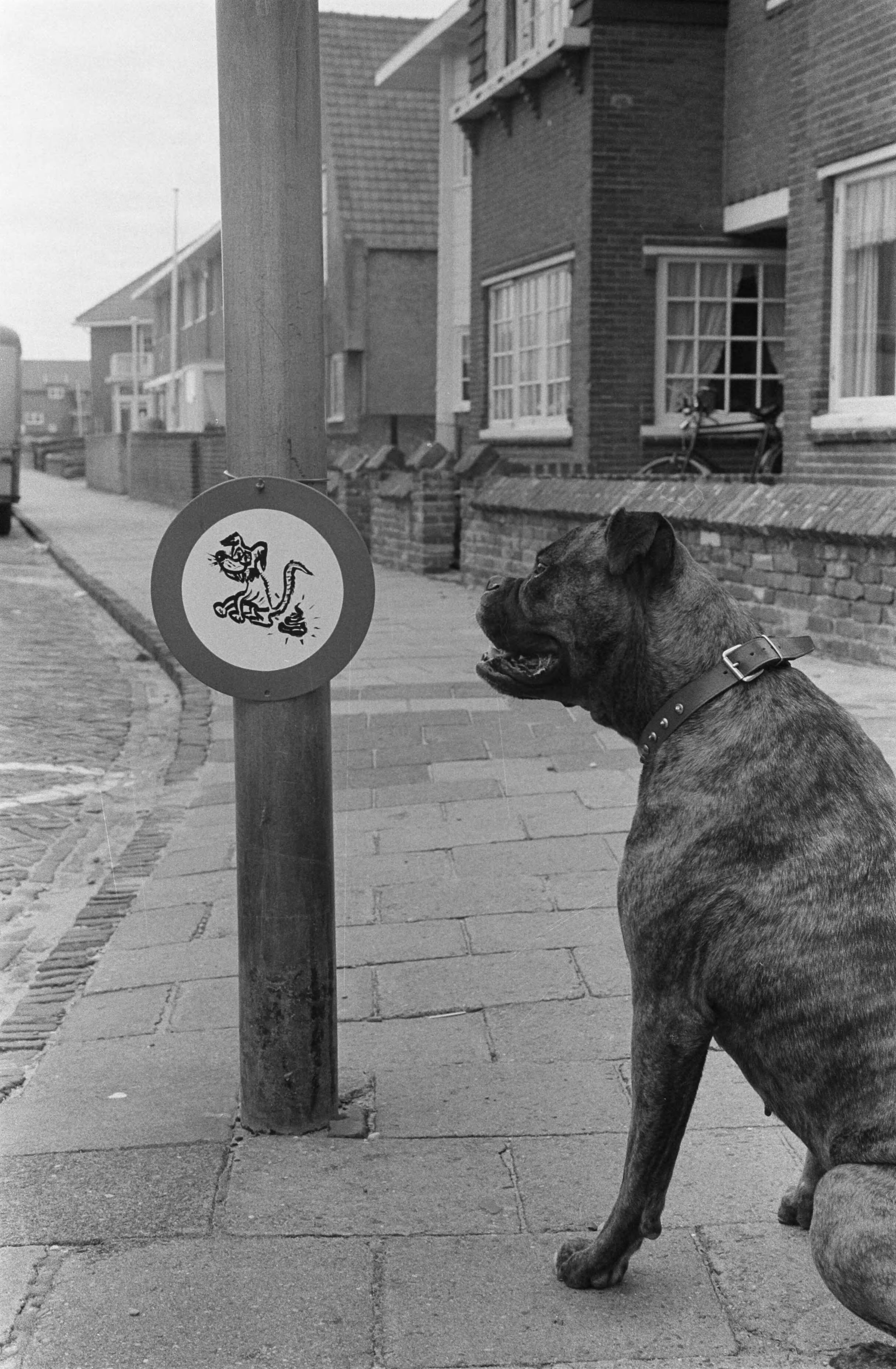 Fotocollectie Anefo — Een inwoner van Zandvoort heeft nieuw "verkeersbord" geplaatst — Foto: Pot, Harry / Anefo. Licentie: Set B: Rechtenvrij / Publiek Domein. Bron: Nationaal Archief. http://hdl.handle.net/10648/aa19e86e-d0b4-102d-bcf8-003048976d84