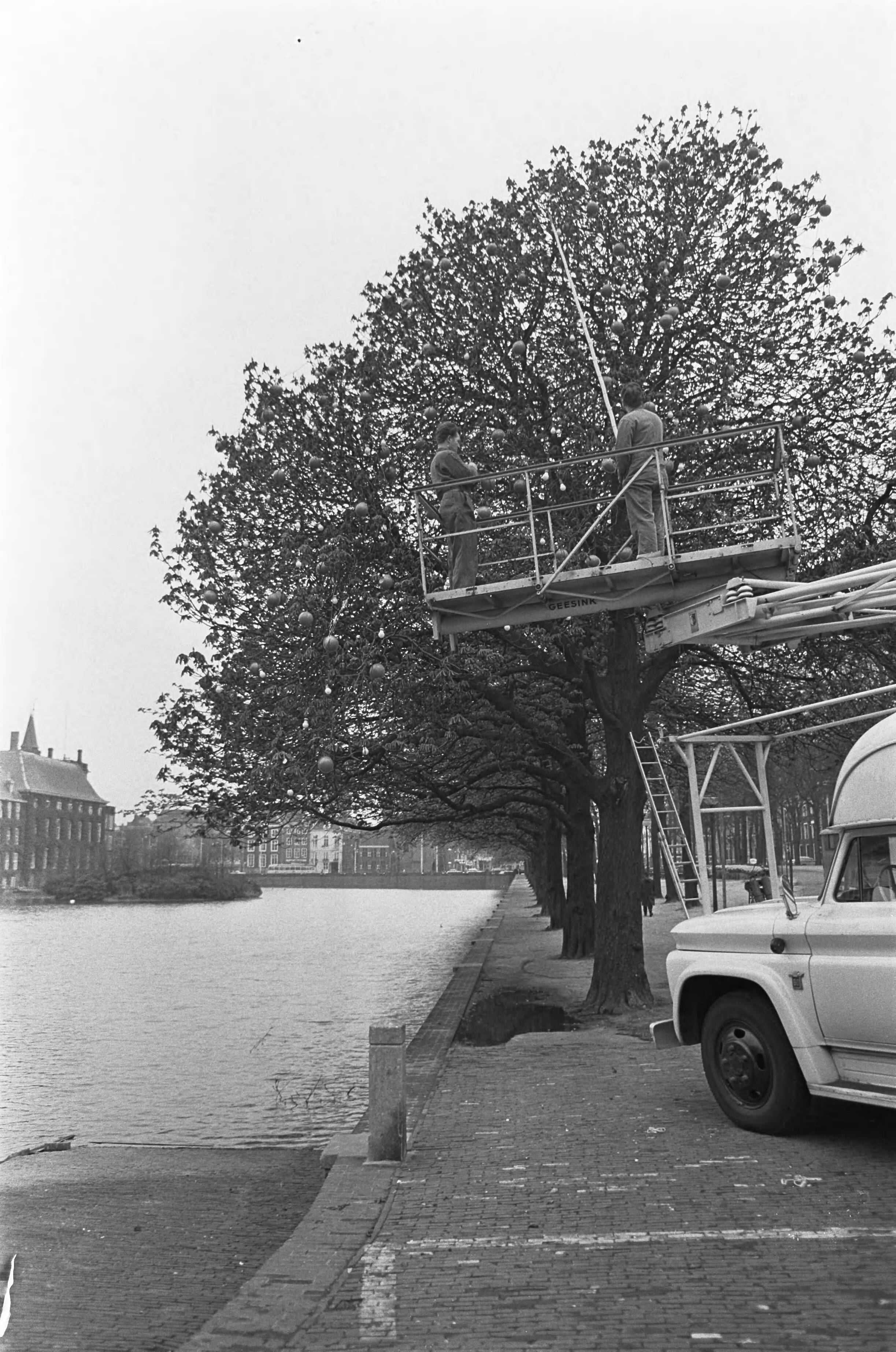 Fotocollectie Anefo — Aanbrengen versiering (oranjeballen) op de Lange Vijverberg te Den Haag — Foto: Nijs, Jac. de / Anefo. Licentie: Set B: Rechtenvrij / Publiek Domein. Bron: Nationaal Archief. http://hdl.handle.net/10648/ab1541dc-d0b4-102d-bcf8-003048976d84
