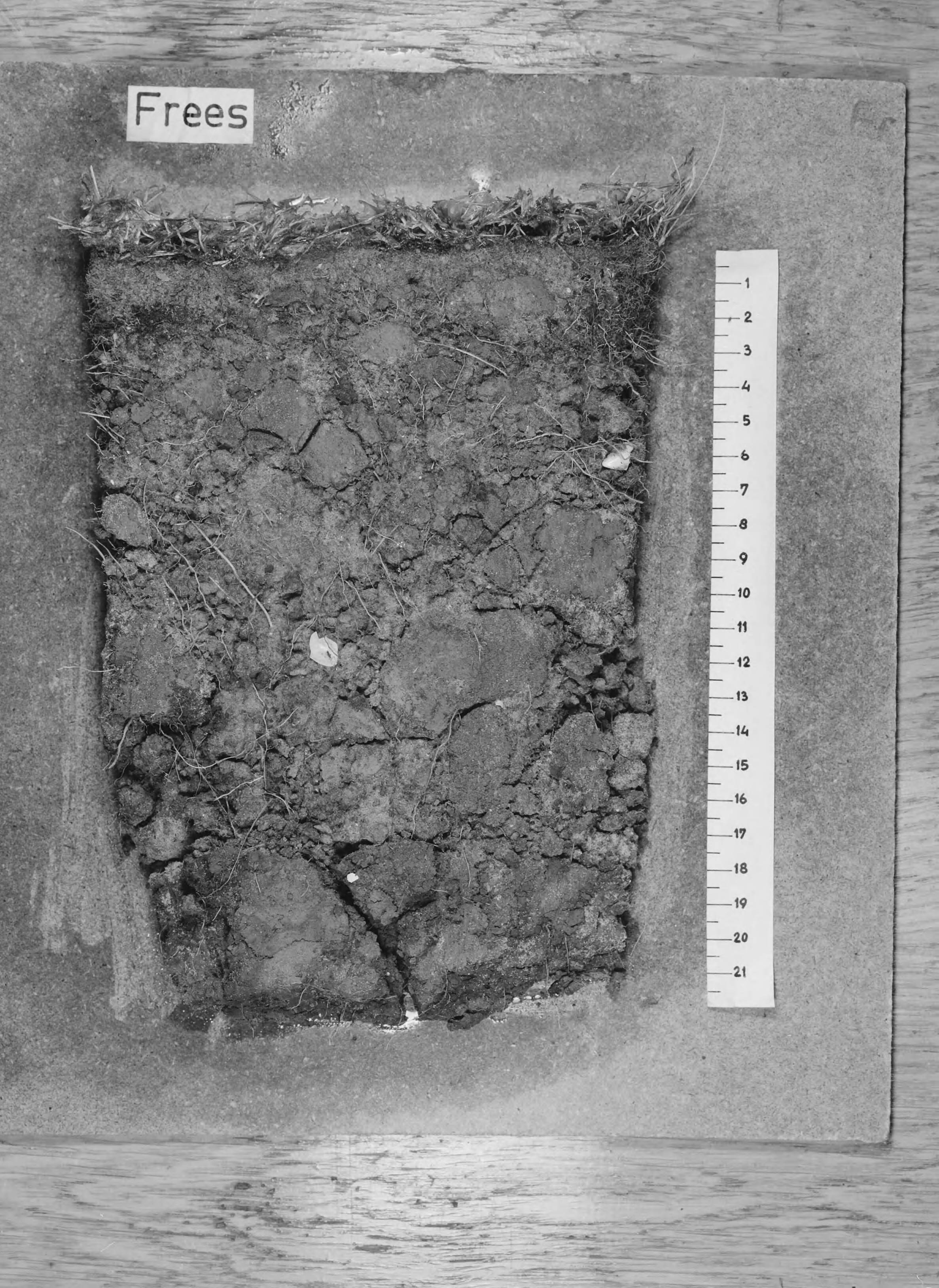 Fotocollectie Nederlandse Heidemaatschappij — Zware zeeklei verschraald met 14cm wadzand, sportveld Nylan Leeuwarden. Met behulp van frees is 12 cm opgebracht wadzand gemend met klei-ondergrond. In verhouding is vrij veel klei boven gebracht. Na frezen is weer wat 2cm verschraald, dit zand is niet doorgewerkt. Resultaat: frees maakt toplaag te kleiig — Foto: Wüllschleger, [...] / Heidemij. Licentie: Set B: Rechtenvrij / Publiek Domein. Bron: Nationaal Archief. http://hdl.handle.net/10648/ae6bba46-d0b4-102d-bcf8-003048976d84