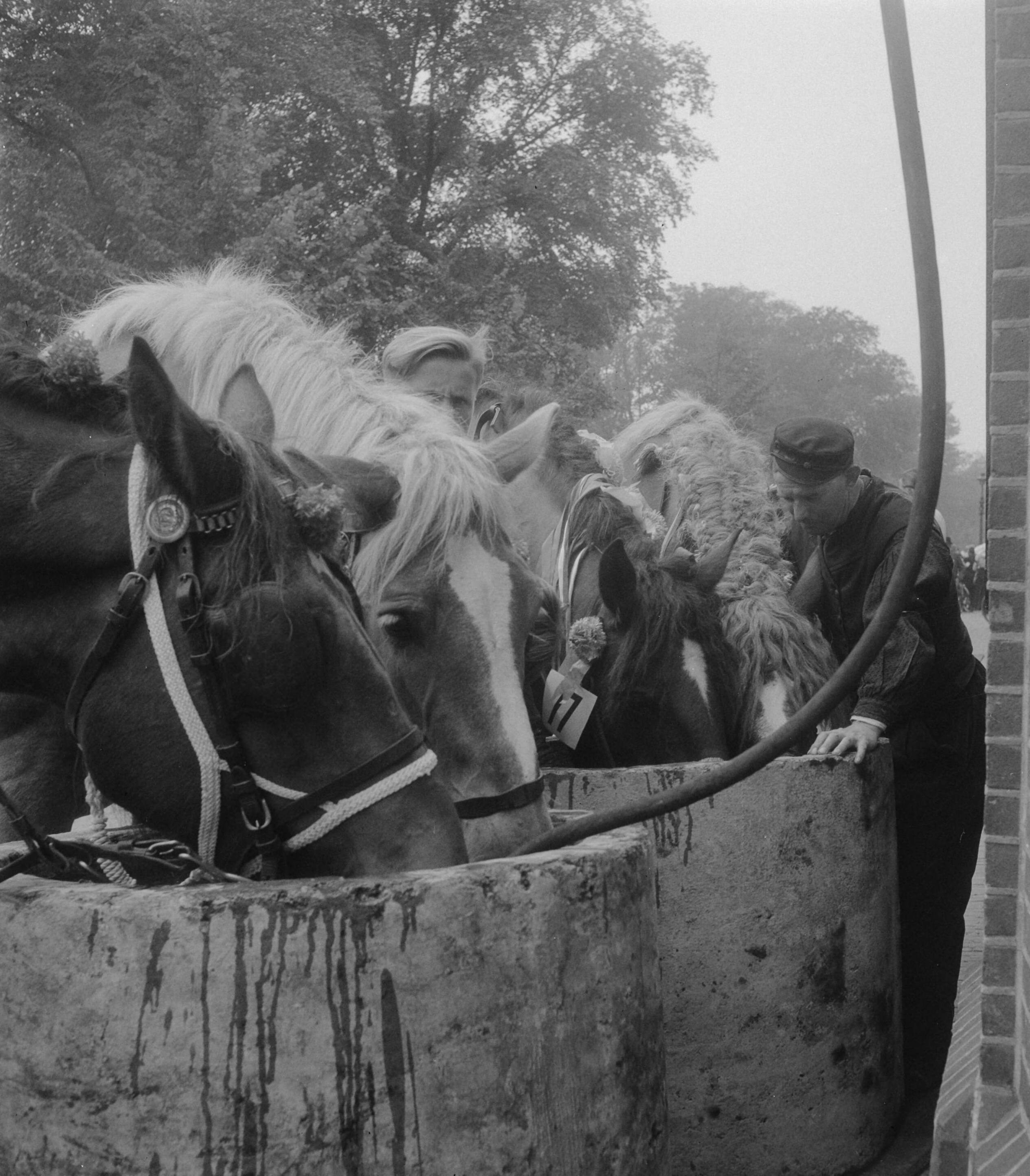 Fotocollectie Anefo — Ringsteken Middelburg — Foto: Noske, J.D. / Anefo. Licentie: Set B: Rechtenvrij / Publiek Domein. Bron: Nationaal Archief. http://hdl.handle.net/10648/a8cd2994-d0b4-102d-bcf8-003048976d84