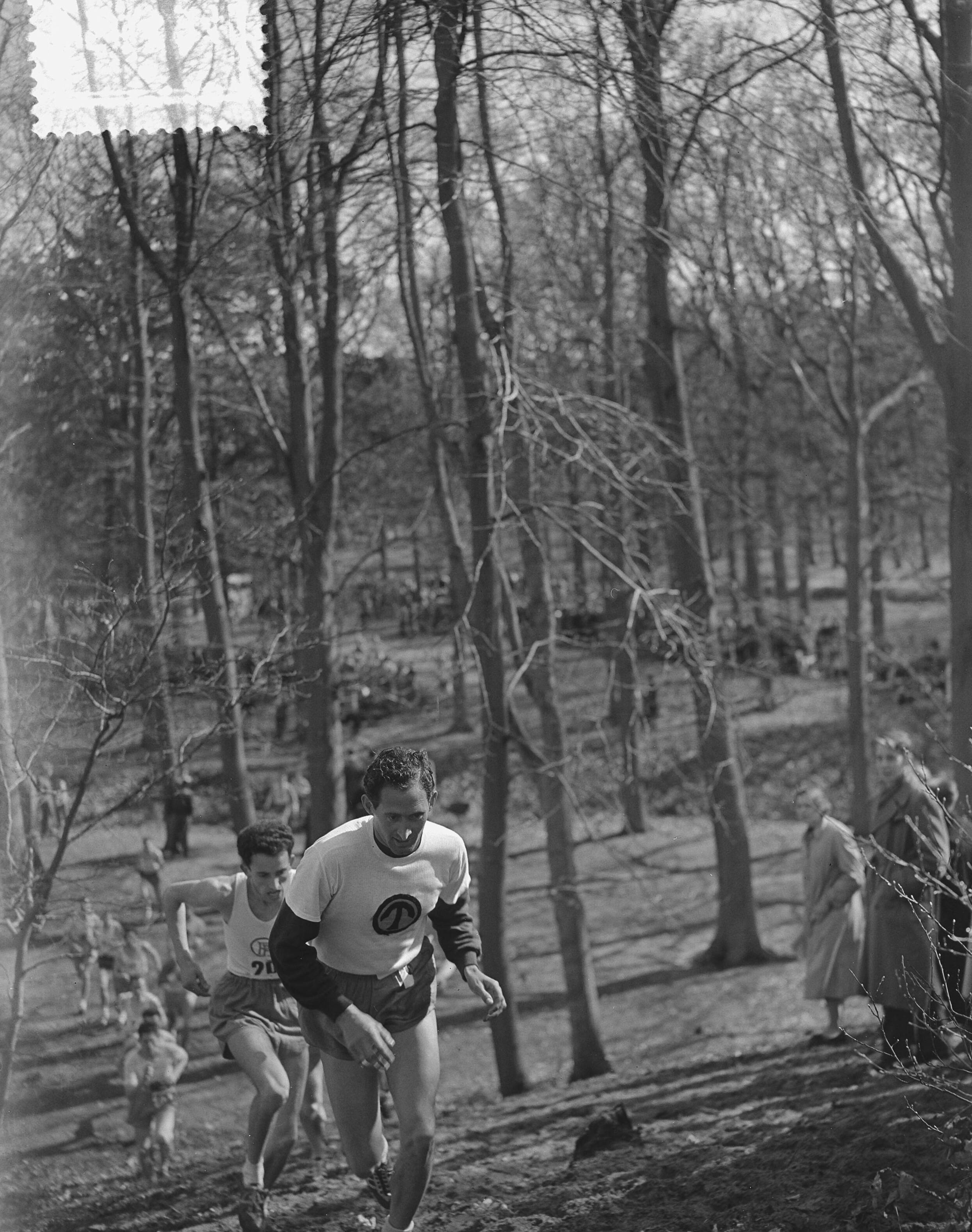 Fotocollectie Anefo — Veldloopkampioenschappen van Nederland in Wassenaar. Wim Slijkhuis (hij zou later opgeven) — Foto: Bilsen, Joop van / Anefo. Licentie: Set B: Rechtenvrij / Publiek Domein. Bron: Nationaal Archief. http://hdl.handle.net/10648/a909c412-d0b4-102d-bcf8-003048976d84