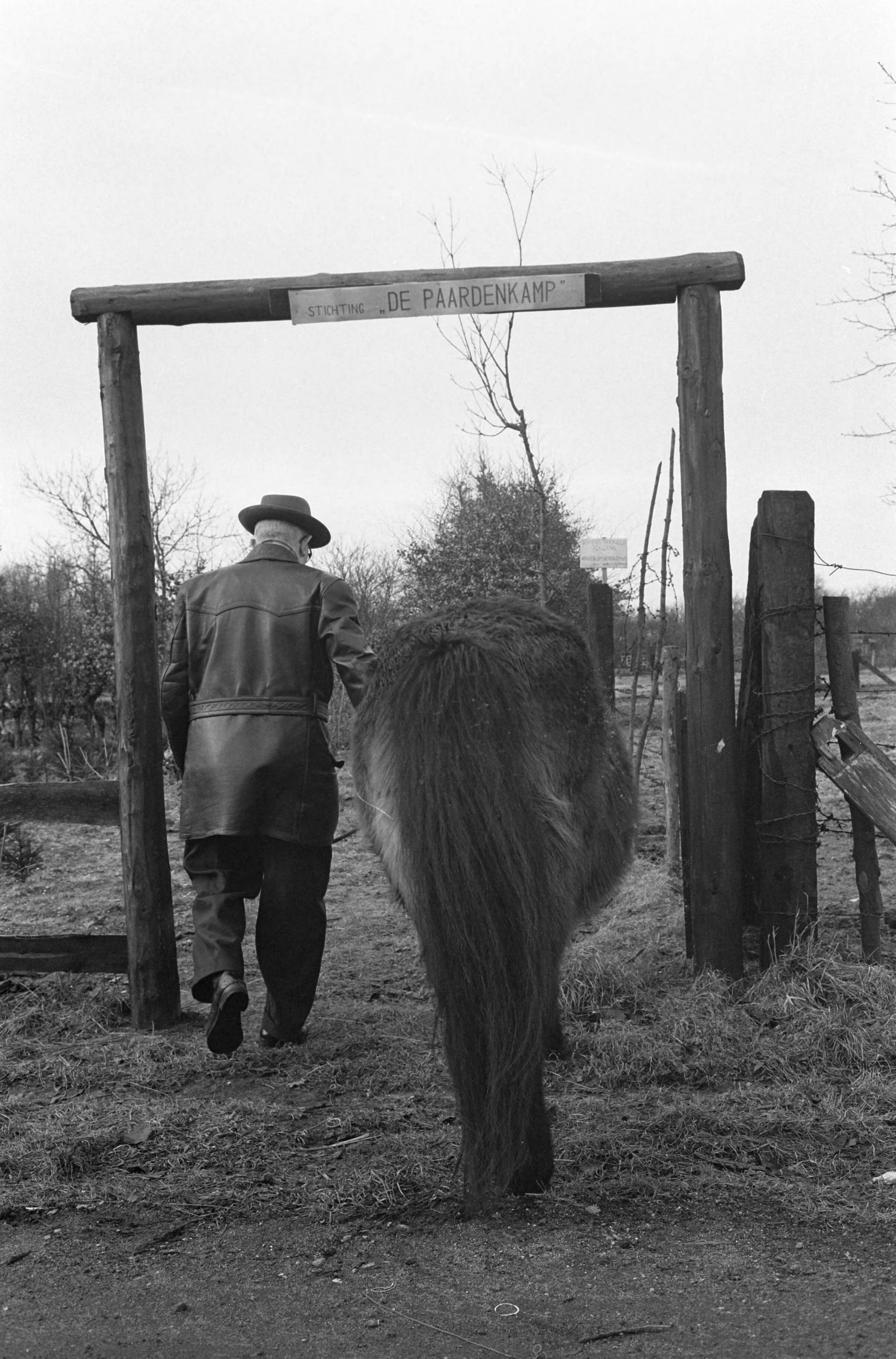 Fotocollectie Anefo — Rusthuis voor paarden, de "Paardenkamp" te Soest. De eerste bewoner is een 16-jarige Shetland-pony, waarvan de baas ziek is — Foto: Pot, Harry / Anefo. Licentie: Set B: Rechtenvrij / Publiek Domein. Bron: Nationaal Archief. http://hdl.handle.net/10648/a9f8288c-d0b4-102d-bcf8-003048976d84