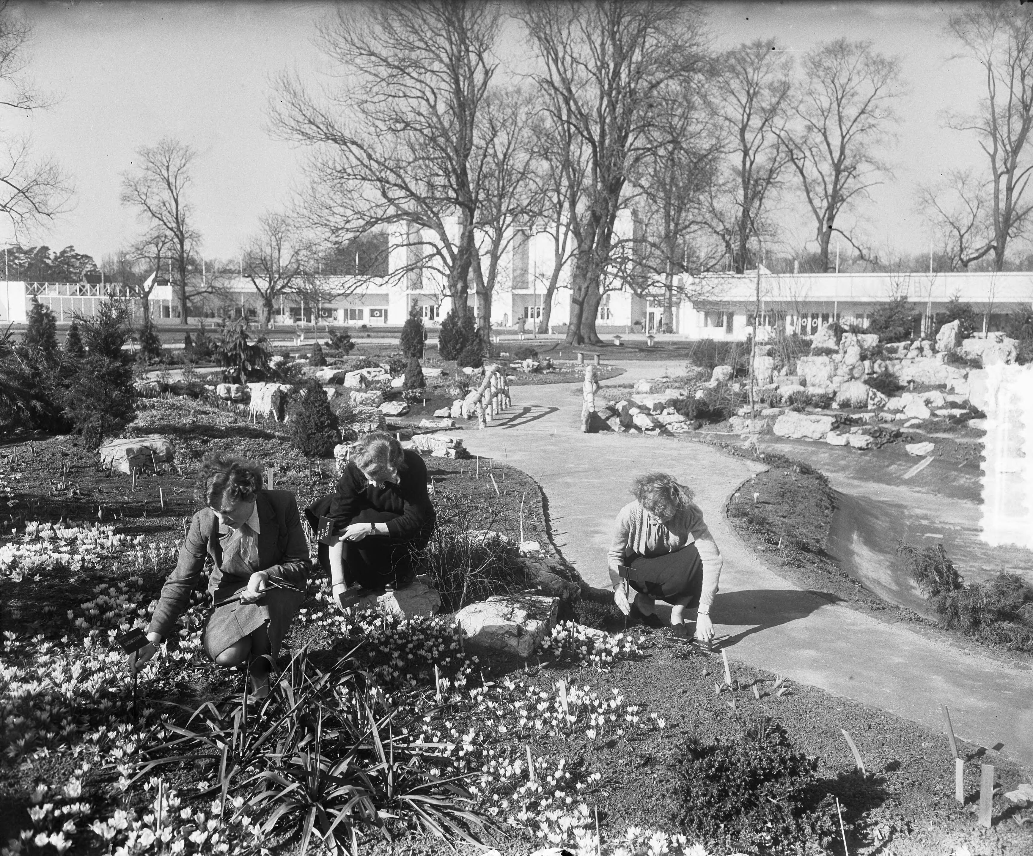 Overzichten bloementuin "Flora" te Heemstede — Foto: Pot, Harry / Anefo. — Licentie: Set B: Rechtenvrij / Publiek Domein. Bron: Nationaal Archief. http://hdl.handle.net/10648/a907e57a-d0b4-102d-bcf8-003048976d84
