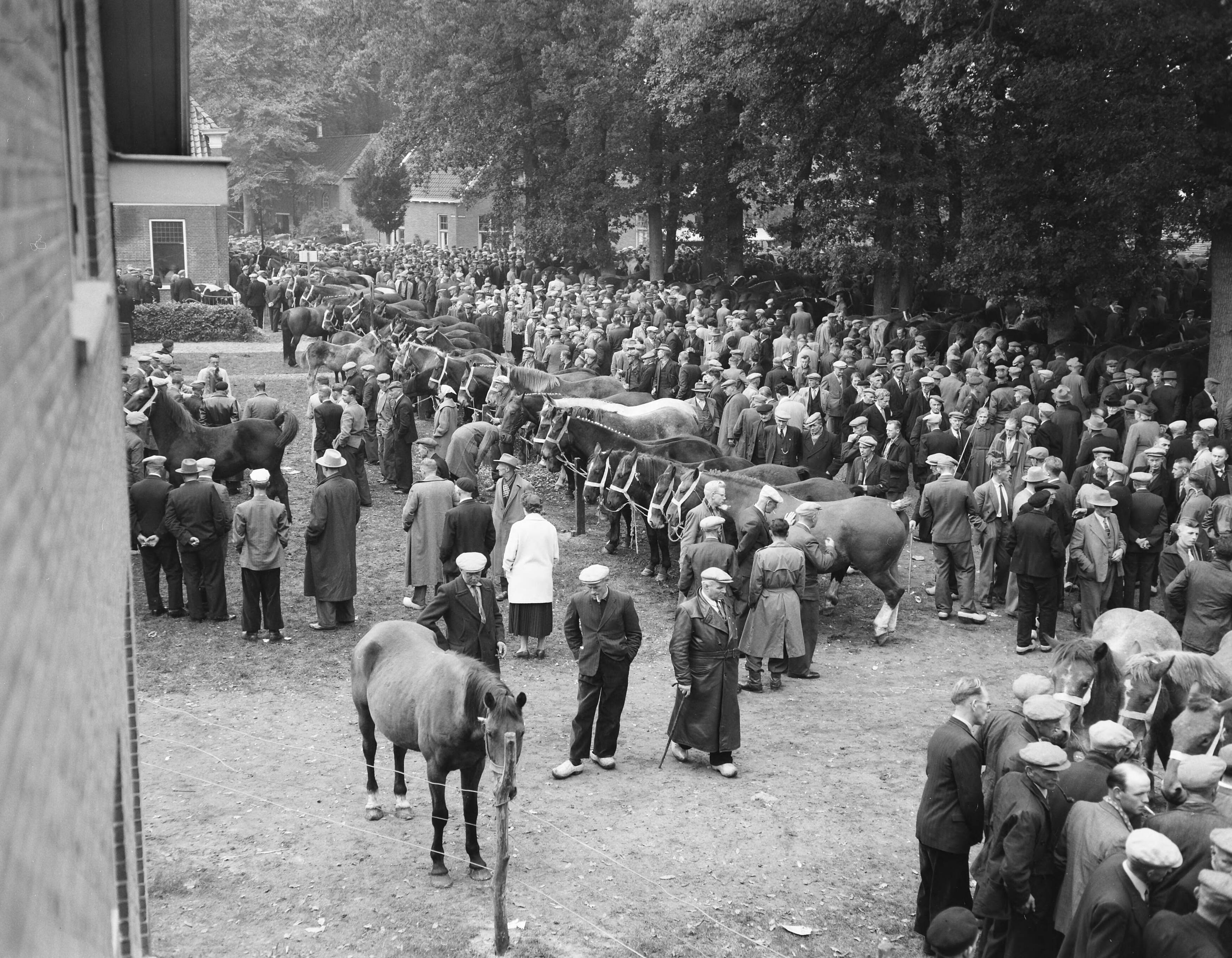 Fotocollectie Anefo — Jaarlijkse paardenmarkt in Zuidlaren — Foto: Rossem, Wim van / Anefo. Licentie: Set B: Rechtenvrij / Publiek Domein. Bron: Nationaal Archief. http://hdl.handle.net/10648/a96c605e-d0b4-102d-bcf8-003048976d84
