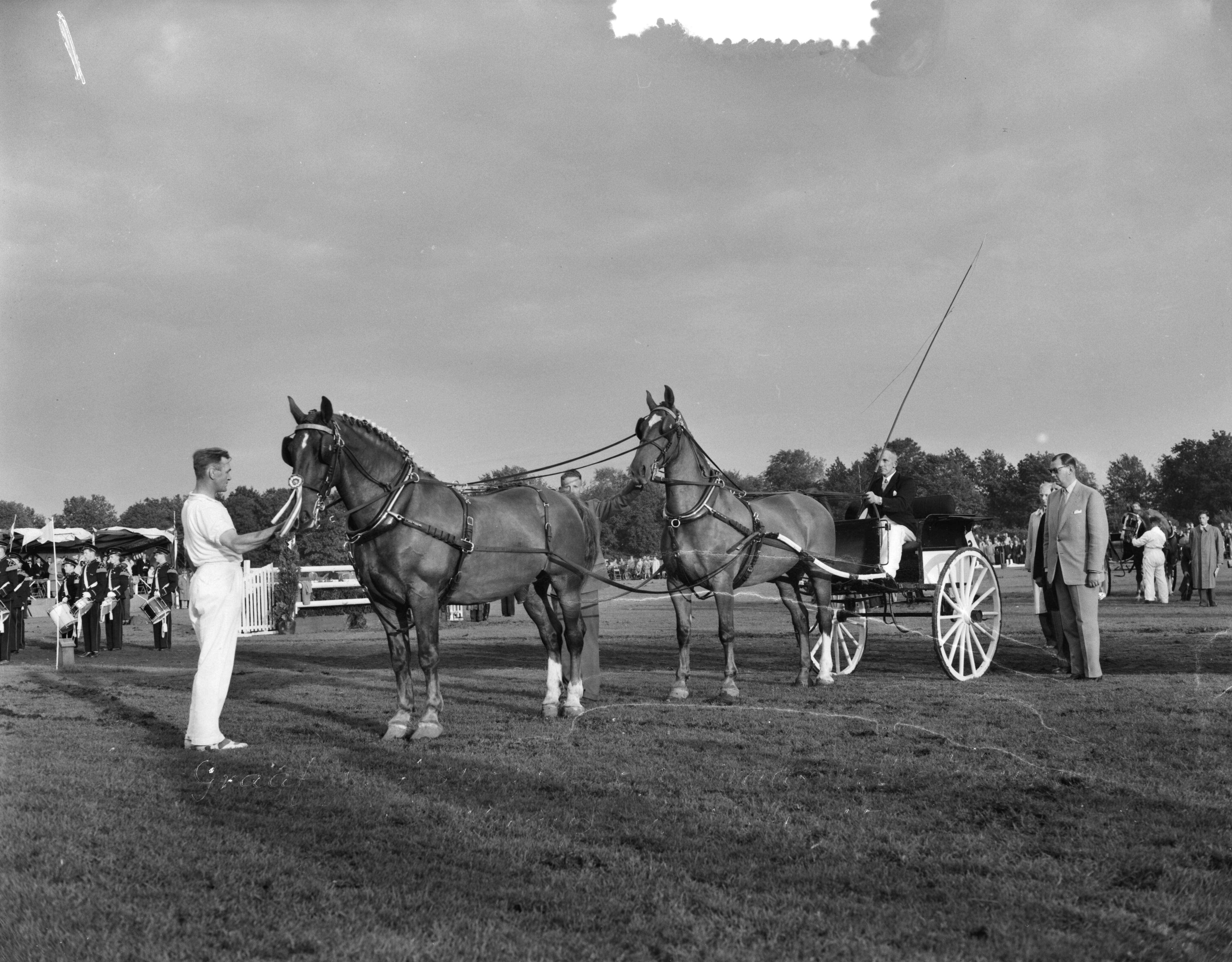 Fotocollectie Anefo — Concours tweespannen tuigpaarden te Groningen. S. Offringa, kampioen Nederland — Foto: Rossem, Wim van / Anefo. Licentie: Set B: Rechtenvrij / Publiek Domein. Bron: Nationaal Archief. http://hdl.handle.net/10648/a94de6f6-d0b4-102d-bcf8-003048976d84