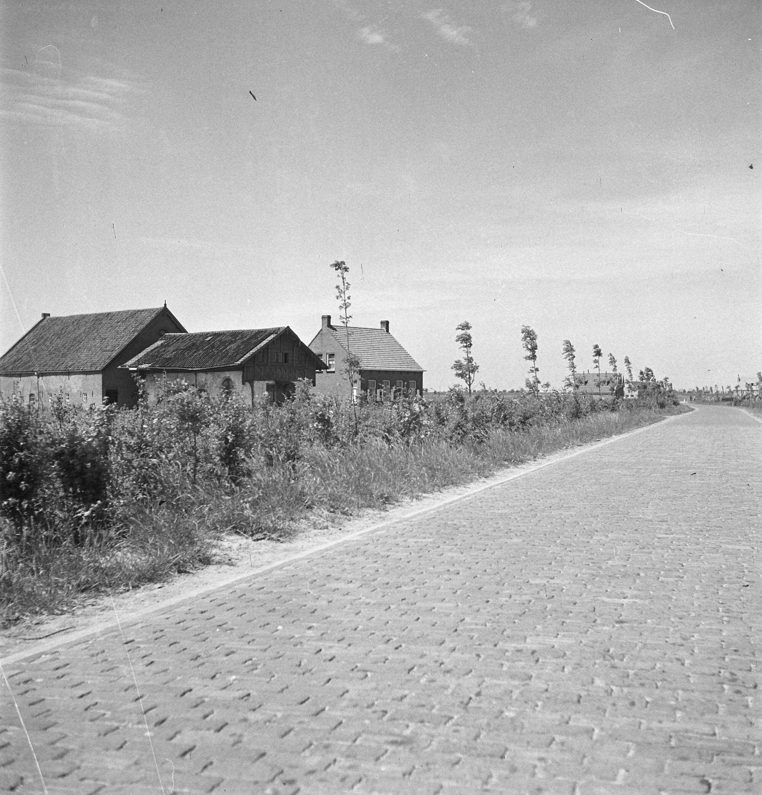 Fotocollectie Nederlandse Heidemaatschappij — [geen bijschrift. Wellicht herbeplanting landgoed "ter Hooge" in het 2e jaar van de aanleg — Foto: Tromp, [...] / Heidemij. Licentie: Set B: Rechtenvrij / Publiek Domein. Bron: Nationaal Archief. http://hdl.handle.net/10648/ae80082a-d0b4-102d-bcf8-003048976d84