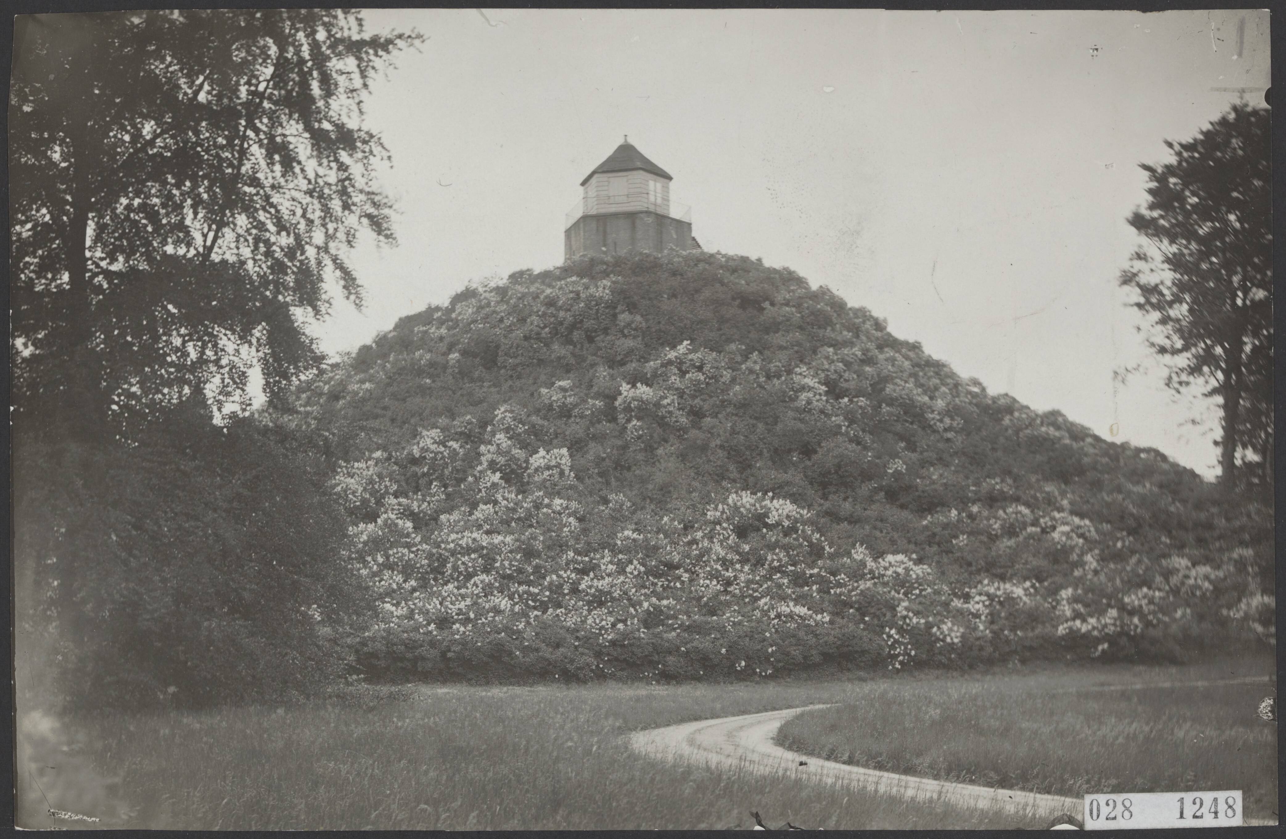 Fotocollectie Elsevier Binnenland — De Seringenberg met uitkijktoren op "De Raaphorst", het landgoed van koningin Wilhelmina aan de straatweg Den Haag-Leiden — Foto: Tol, Petrus van. Licentie: Set B: Rechtenvrij / Publiek Domein. Bron: Nationaal Archief. http://hdl.handle.net/10648/ade03318-d0b4-102d-bcf8-003048976d84