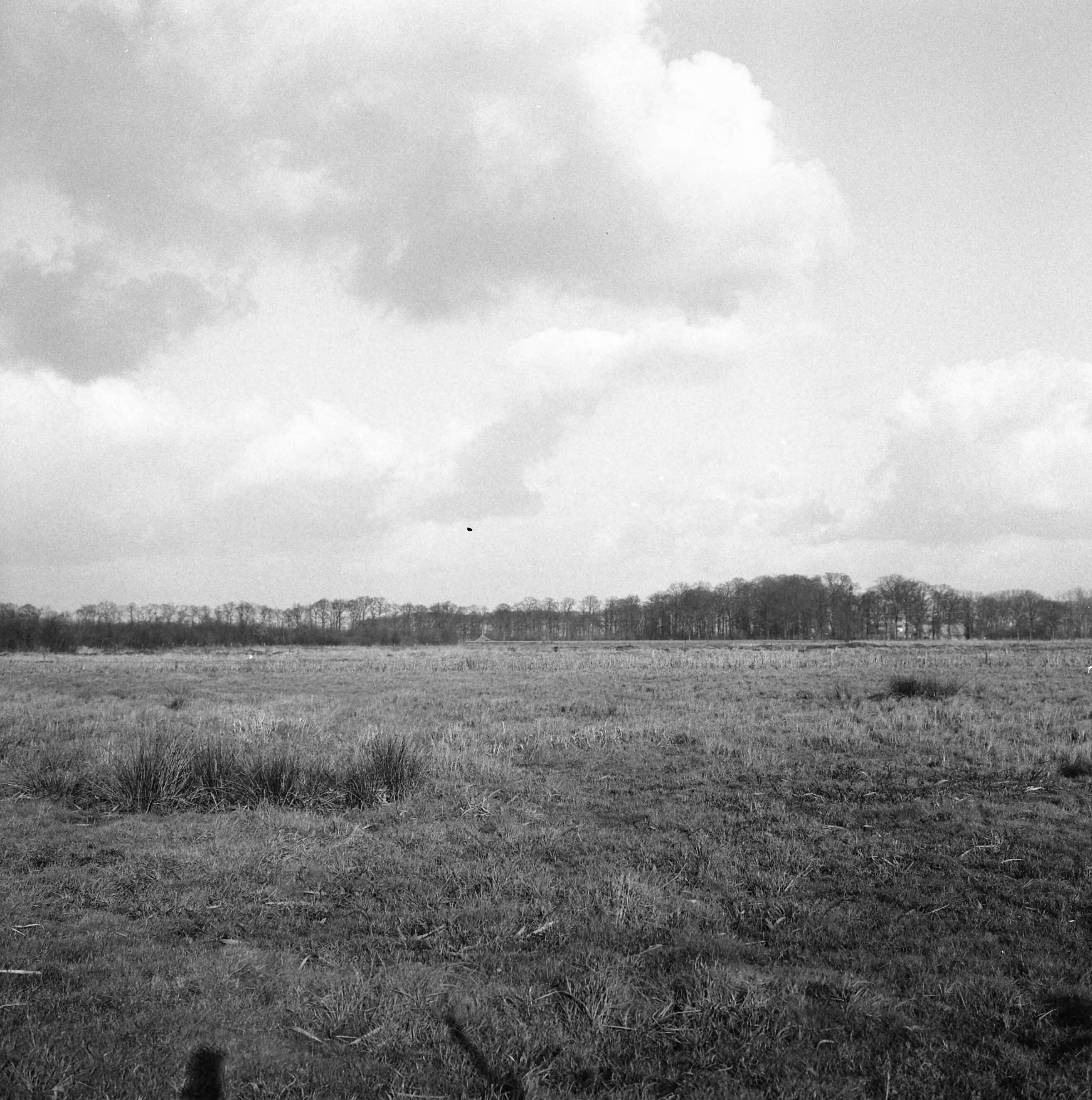 Fotocollectie Nederlandse Heidemaatschappij — Ruilverkaveling Essche Stroom vak III (bestaande toestand). Woest gebied in de omgeving van het kasteel Nemerlaer. Gezien vanaf de spoorlijn Boxtel-Tilburg. Op de achtergrond het kasteel Nemerlaer — Foto: Wüllschleger, [...] / Heidemij. Licentie: Set B: Rechtenvrij / Publiek Domein. Bron: Nationaal Archief. http://hdl.handle.net/10648/ae745c6e-d0b4-102d-bcf8-003048976d84