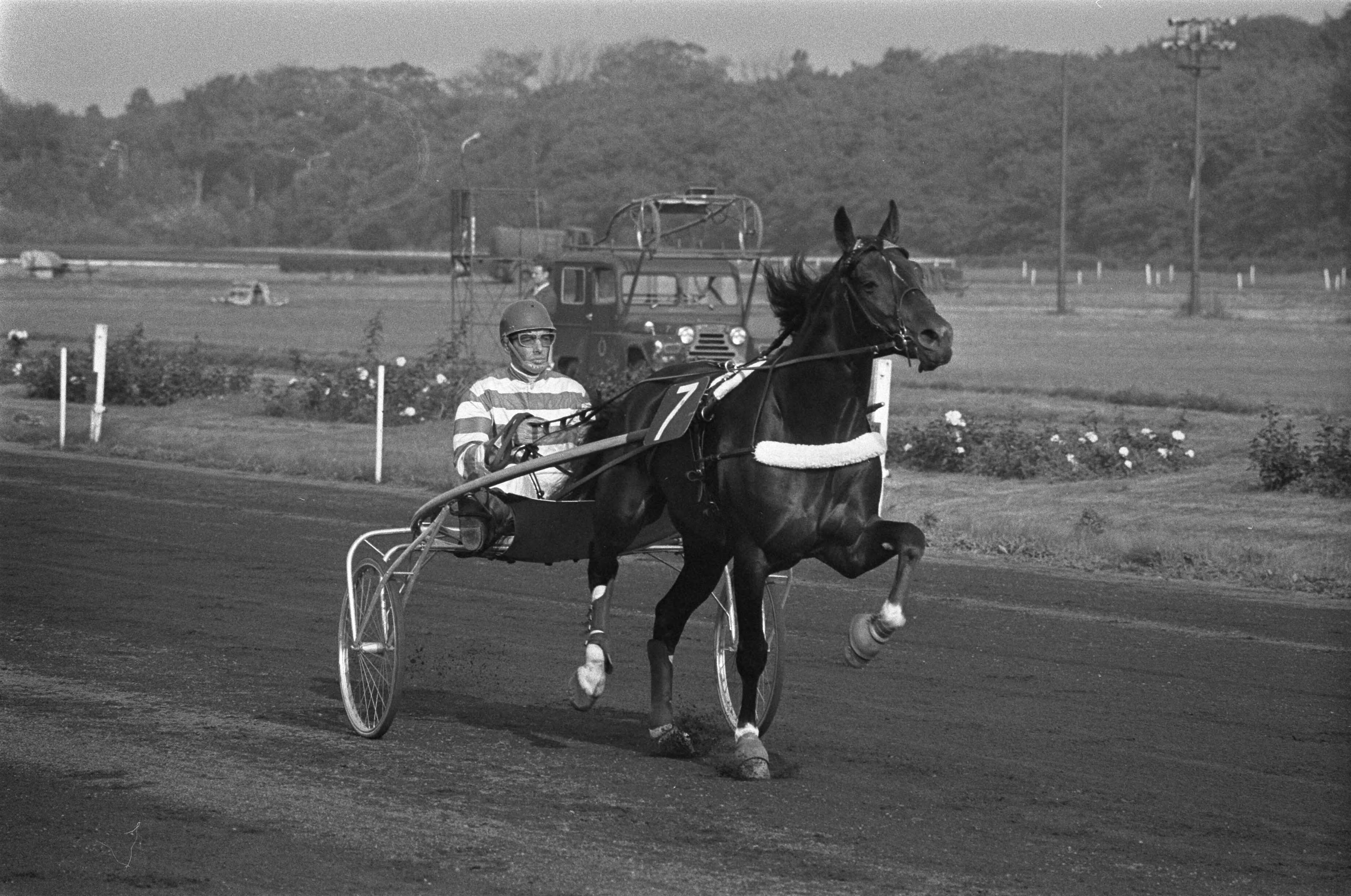 Fotocollectie Anefo — Kampioenschap dravers van Nederland op Duindigt — Foto: Verhoeff, Bert / Anefo. Licentie: Set B: Rechtenvrij / Publiek Domein. Bron: Nationaal Archief. http://hdl.handle.net/10648/abcf5c5c-d0b4-102d-bcf8-003048976d84