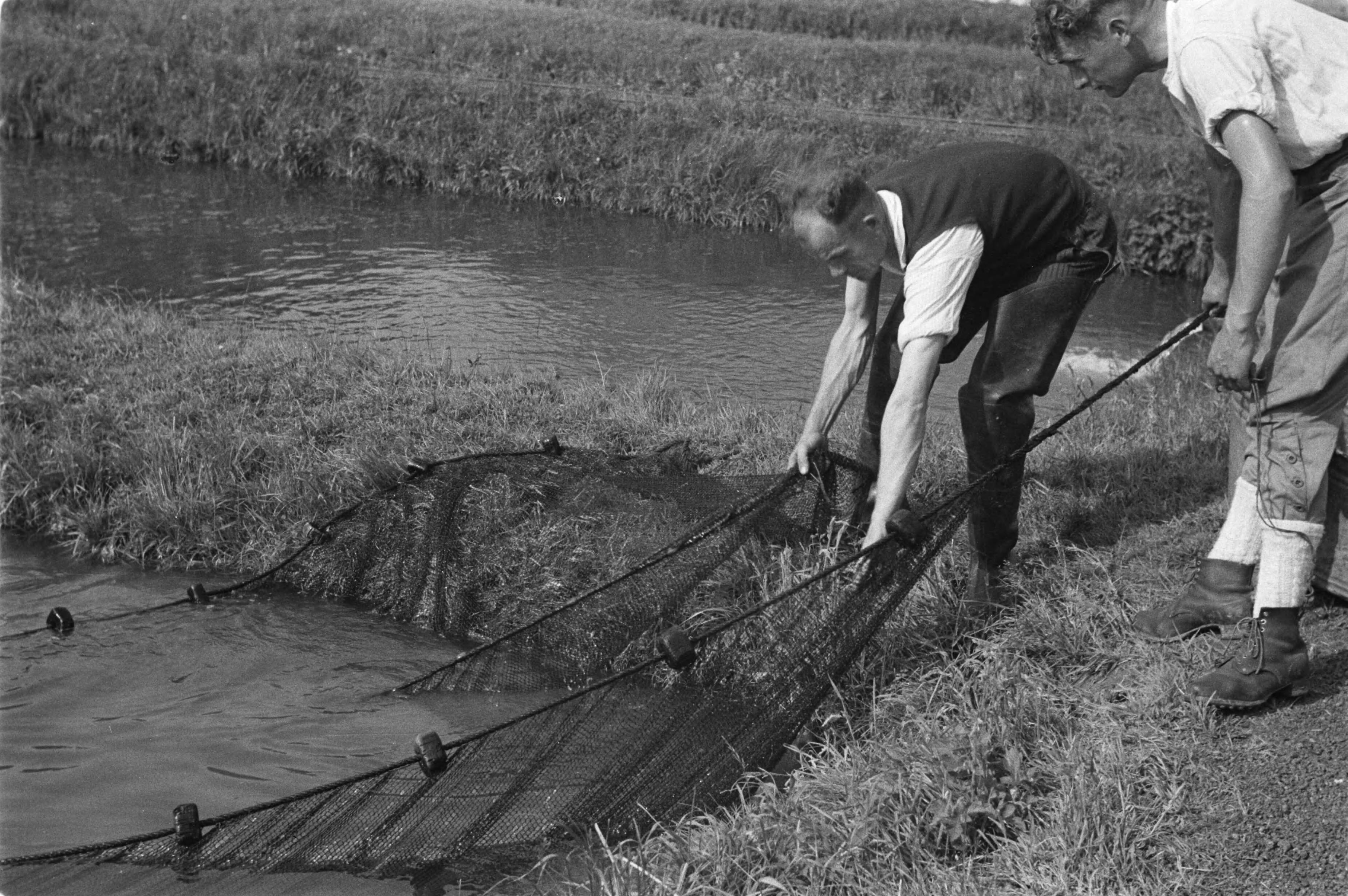 Fotocollectie Nederlandse Heidemaatschappij — Gulpen|visserij |viskwekerijen |forellenvijvers |forellenzegen |aanhalen — Foto: Fotograaf Onbekend / Heidemij. Licentie: Set B: Rechtenvrij / Publiek Domein. Bron: Nationaal Archief. http://hdl.handle.net/10648/ae89ed4a-d0b4-102d-bcf8-003048976d84