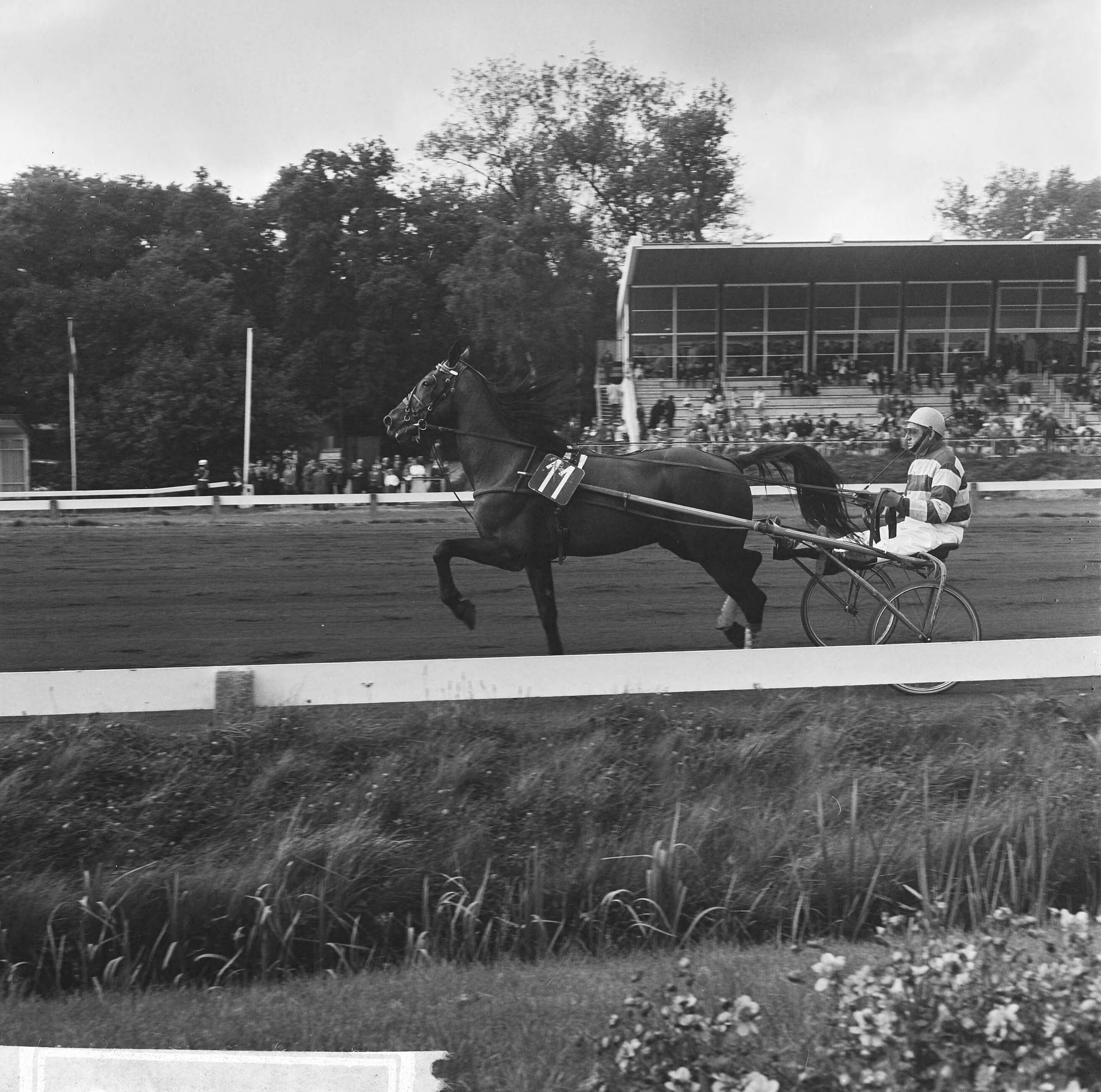 Fotocollectie Anefo — De Gouden Zweep op Duindigt, winnaar Jan Wagenaar met Quicksilver S. — Foto: Voets, Jan / Anefo. Licentie: Set B: Rechtenvrij / Publiek Domein. Bron: Nationaal Archief. http://hdl.handle.net/10648/aac151d0-d0b4-102d-bcf8-003048976d84