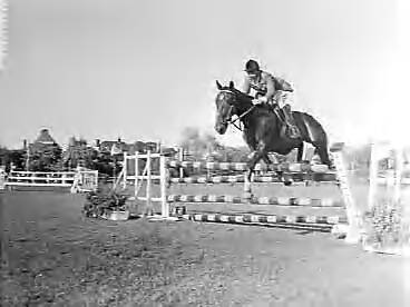 Fotocollectie Anefo — Concours Hippique Den Haag — Foto: Behrens, Herbert F. / Anefo. Licentie: Set B: Rechtenvrij / Publiek Domein. Bron: Nationaal Archief. http://hdl.handle.net/10648/a962e3da-d0b4-102d-bcf8-003048976d84