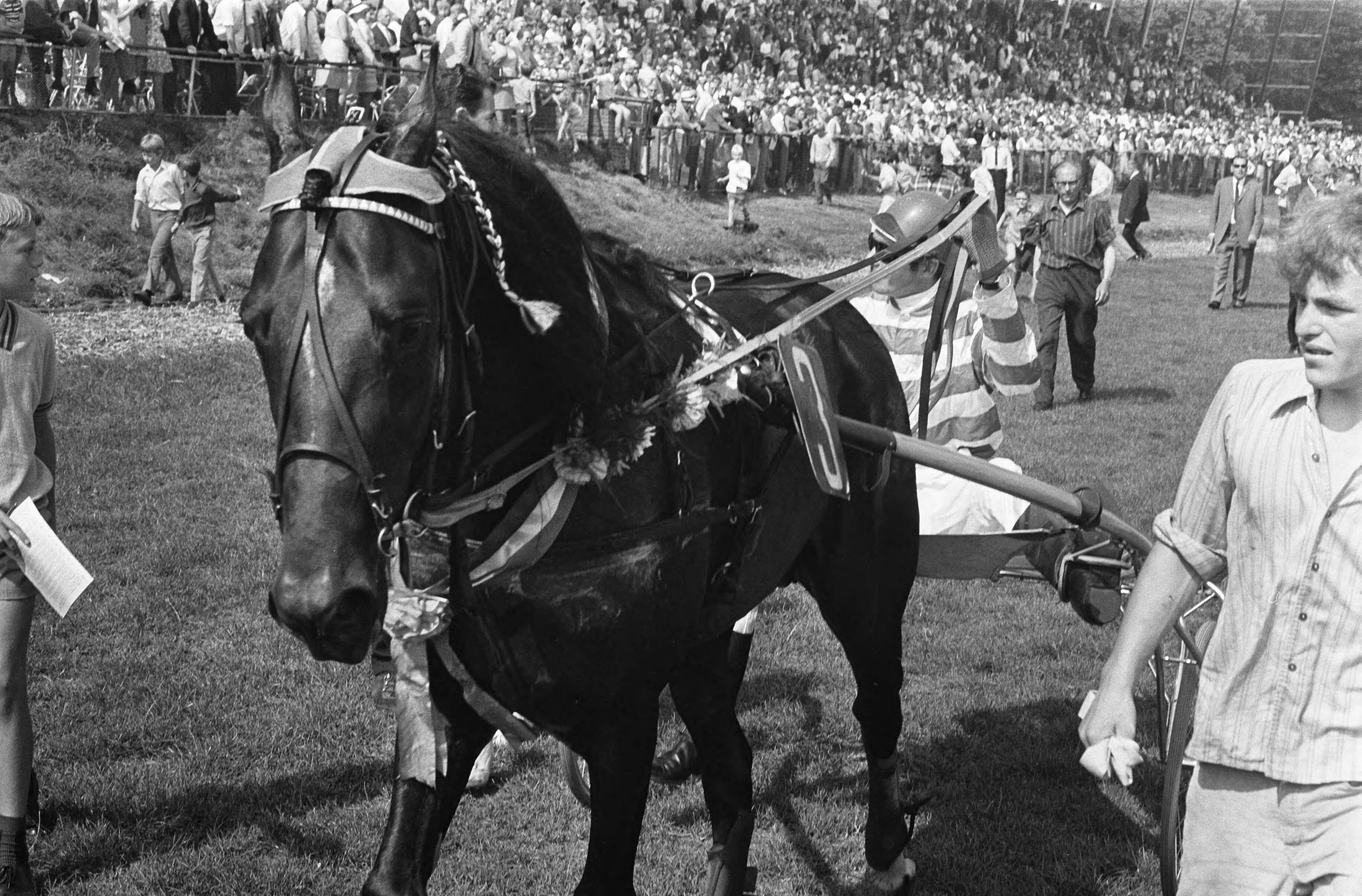 Derby voor dravers 1969 op Duindigt — De huldiging van Jan Wagenaar jr. met zijn paard "Henri Buitenzorg" — Foto: Fotograaf Onbekend / Anefo. Licentie: Set B: Rechtenvrij / Publiek Domein. Bron: Nationaal Archief. http://hdl.handle.net/10648/ab7513fa-d0b4-102d-bcf8-003048976d84