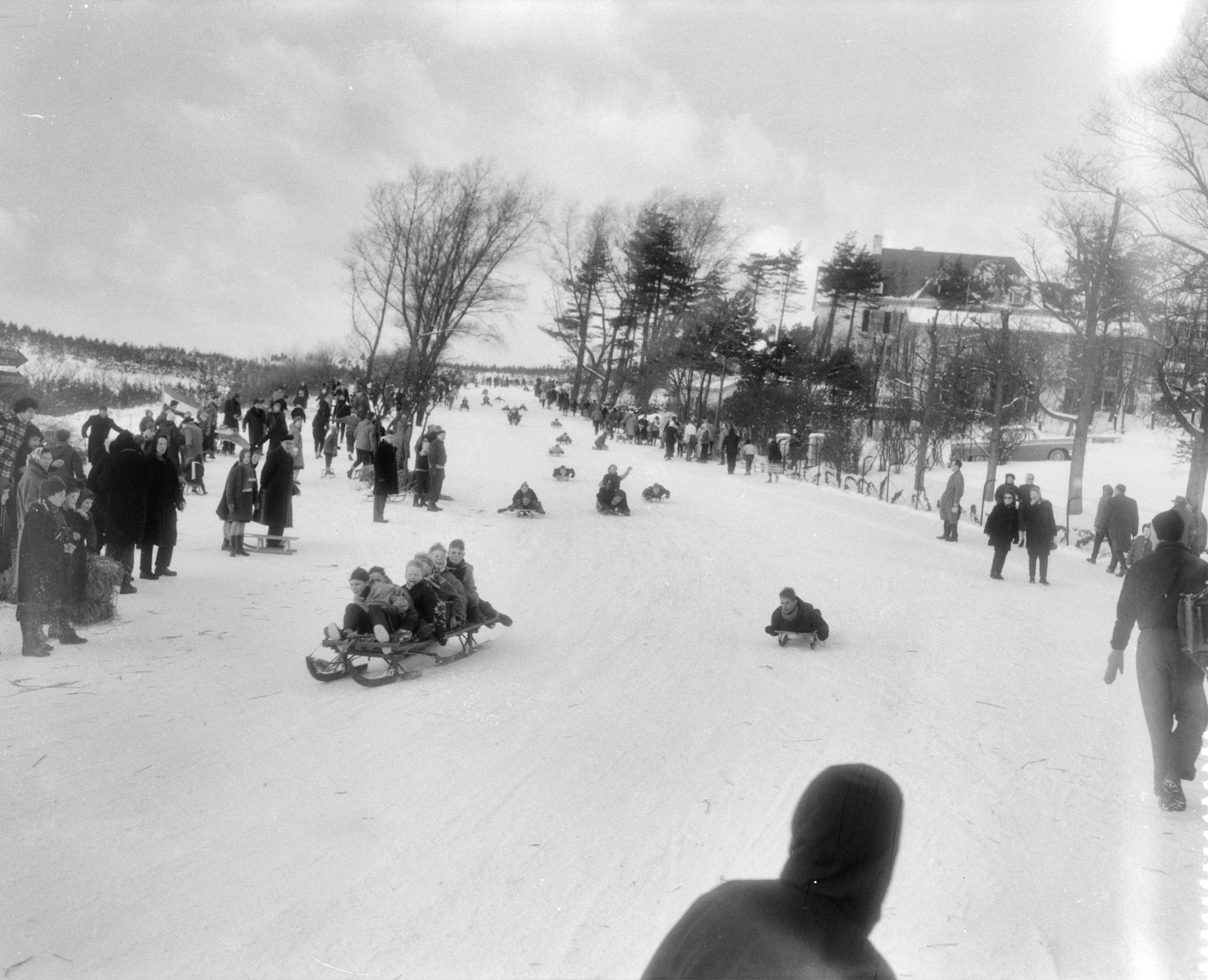 Fotocollectie Anefo — Sleeën op het Bloemendaalse Kopje — Foto: Pot, Harry / Anefo. Licentie: Set B: Rechtenvrij / Publiek Domein. Bron: Nationaal Archief. http://hdl.handle.net/10648/a98bb5ee-d0b4-102d-bcf8-003048976d84