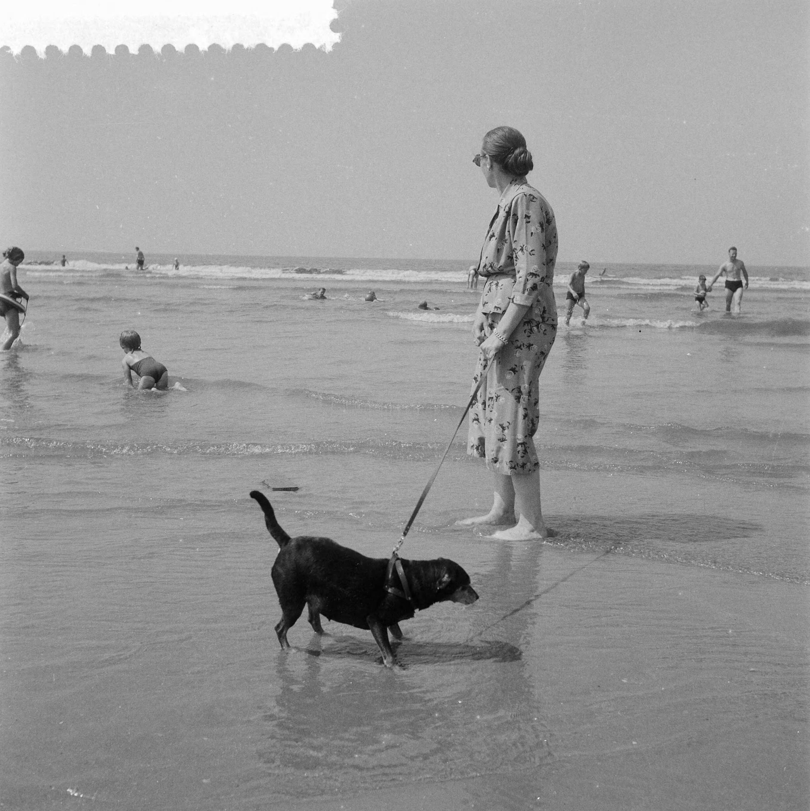 Fotocollectie Anefo — Strandleven te Zandvoort — Foto: Noske, J.D. / Anefo. Licentie: Set B: Rechtenvrij / Publiek Domein. Bron: Nationaal Archief. http://hdl.handle.net/10648/a966628a-d0b4-102d-bcf8-003048976d84