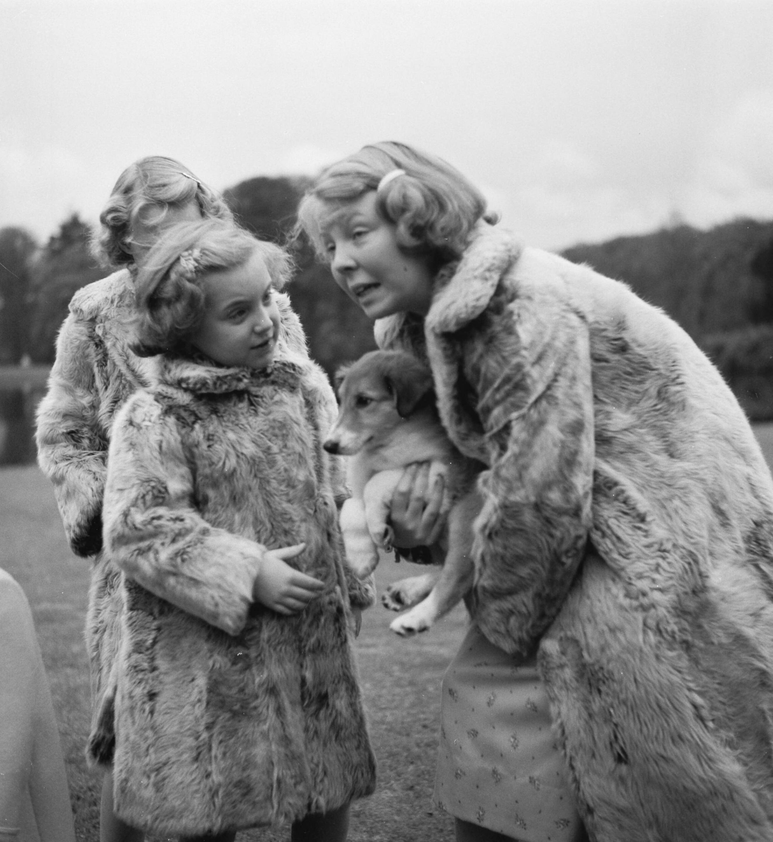 Reportage Koninklijk gezin op paleis Soestdijk — Koninklijk gezin op Soestdijk. Prinses Beatrix houdt een hondje vast. Bij haar staat prinses Margriet, daarachter prinses Irene — Foto: Noske, J.D. / Anefo. Licentie: Set B: Rechtenvrij / Publiek Domein. Bron: Nationaal Archief. http://hdl.handle.net/10648/a8e1b06c-d0b4-102d-bcf8-003048976d84