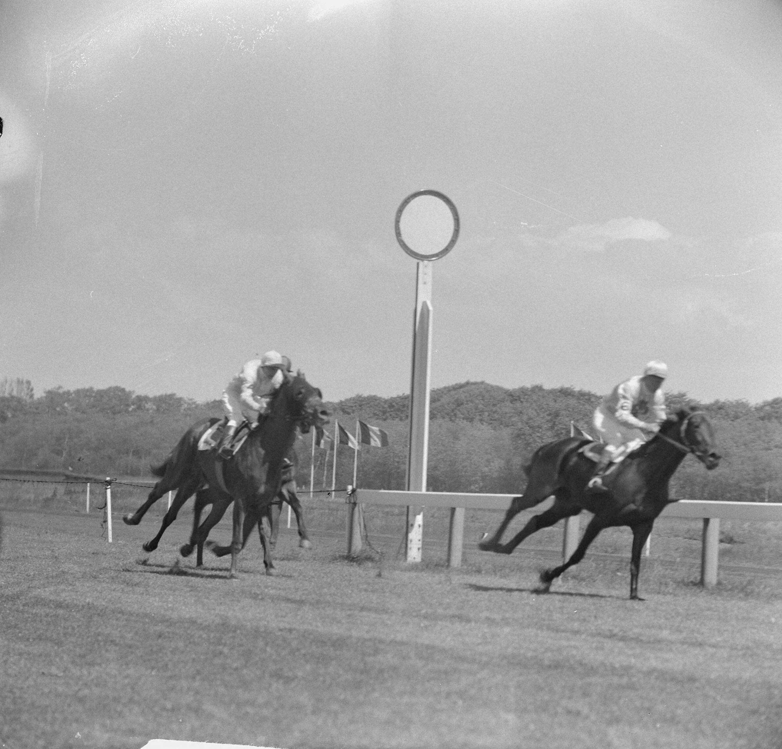 Fotocollectie Anefo — Derby op Duindigt (Flocondor) — Foto: Nijs, Jac. de / Anefo. Licentie: Set B: Rechtenvrij / Publiek Domein. Bron: Nationaal Archief. http://hdl.handle.net/10648/aa0b0c36-d0b4-102d-bcf8-003048976d84