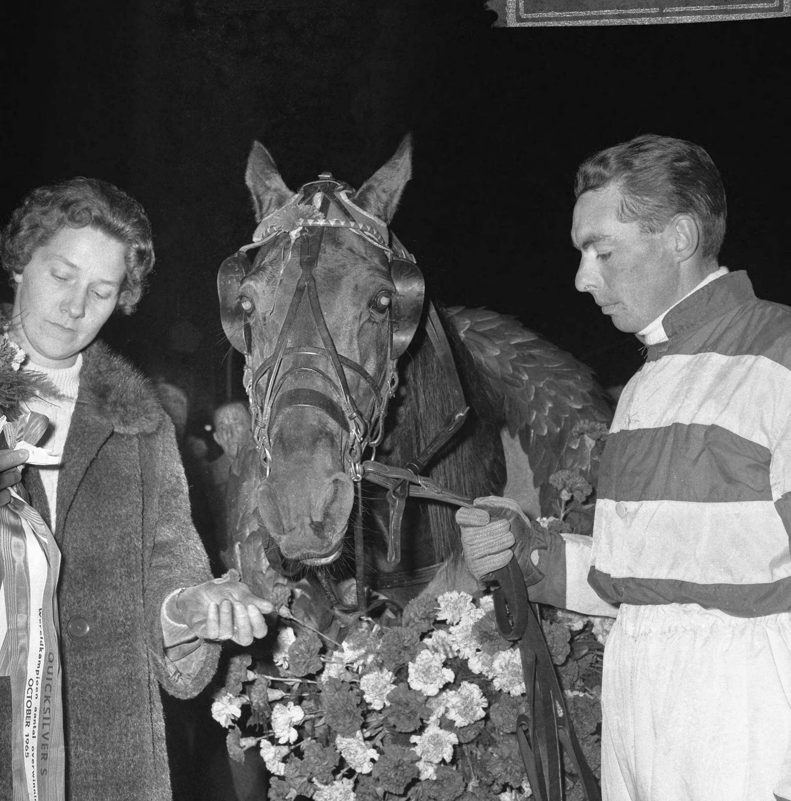 Fotocollectie Anefo — Huldiging van het paard Quicksilver S (draver) op de renbaan van Hilversum. Jan Wagenaar jr. en echtgenote bij het paard — Foto: Kroon, Ron / Anefo. Licentie: Set B: Rechtenvrij / Publiek Domein. Bron: Nationaal Archief. http://hdl.handle.net/10648/aac7a72e-d0b4-102d-bcf8-003048976d84