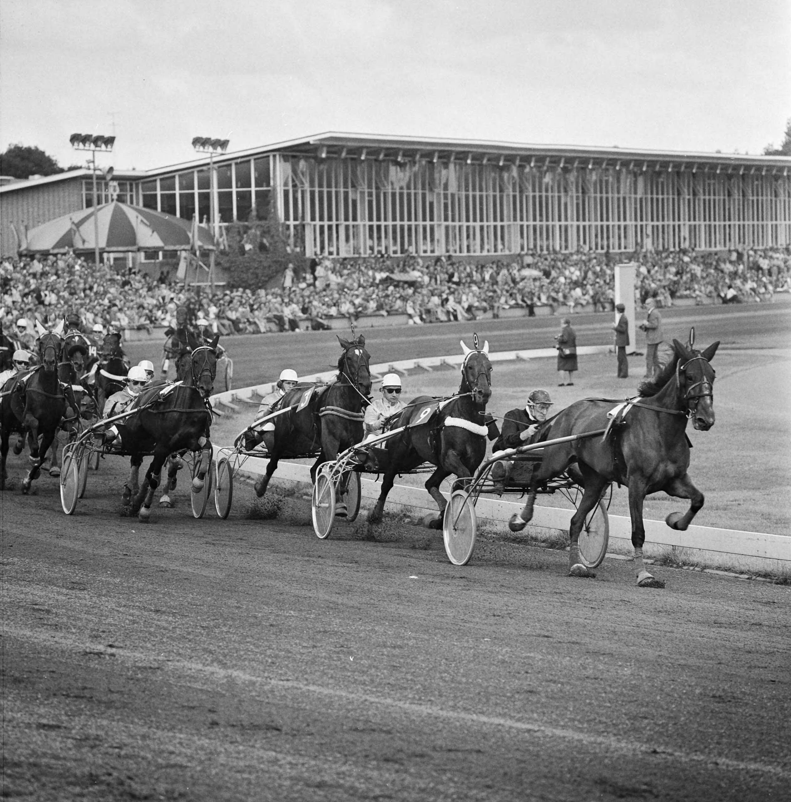 Fotocollectie Anefo — Draverij om Gouden Zweep te Hilversum — Foto: Mieremet, Rob / Anefo. Licentie: Set B: Rechtenvrij / Publiek Domein. Bron: Nationaal Archief. http://hdl.handle.net/10648/ac313a80-d0b4-102d-bcf8-003048976d84