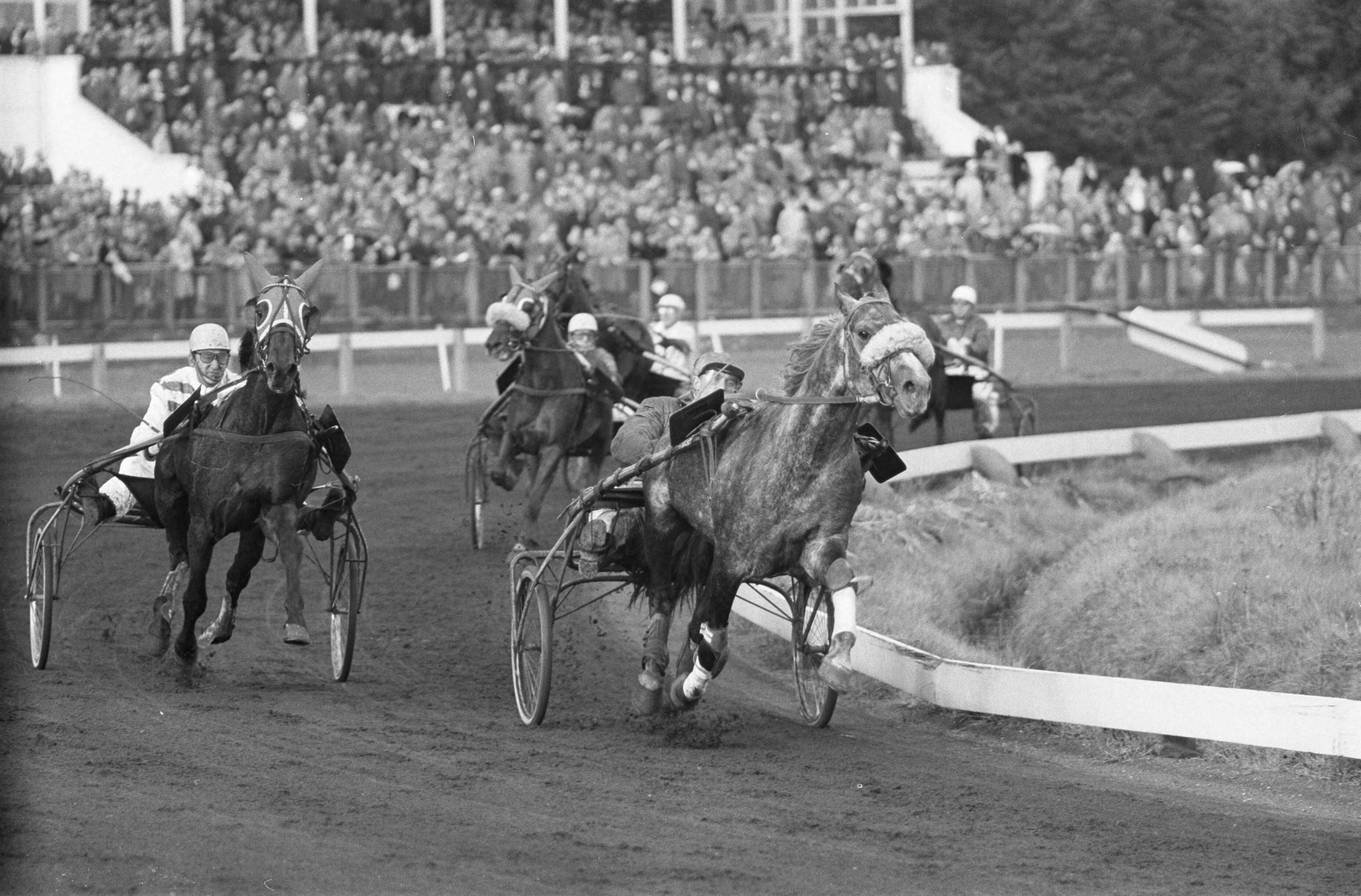 Fotocollectie Anefo — Draverijen op Duindigt, de Nederland-Rusland prijs werd verreden, rechts de latere winnaar Veterok met pikeur Ivan Popelnoecka, links Vitalis met Wagenaar sr. — Foto: Pot, Harry / Anefo. Licentie: Set B: Rechtenvrij / Publiek Domein. Bron: Nationaal Archief. http://hdl.handle.net/10648/aa1d8b7c-d0b4-102d-bcf8-003048976d84