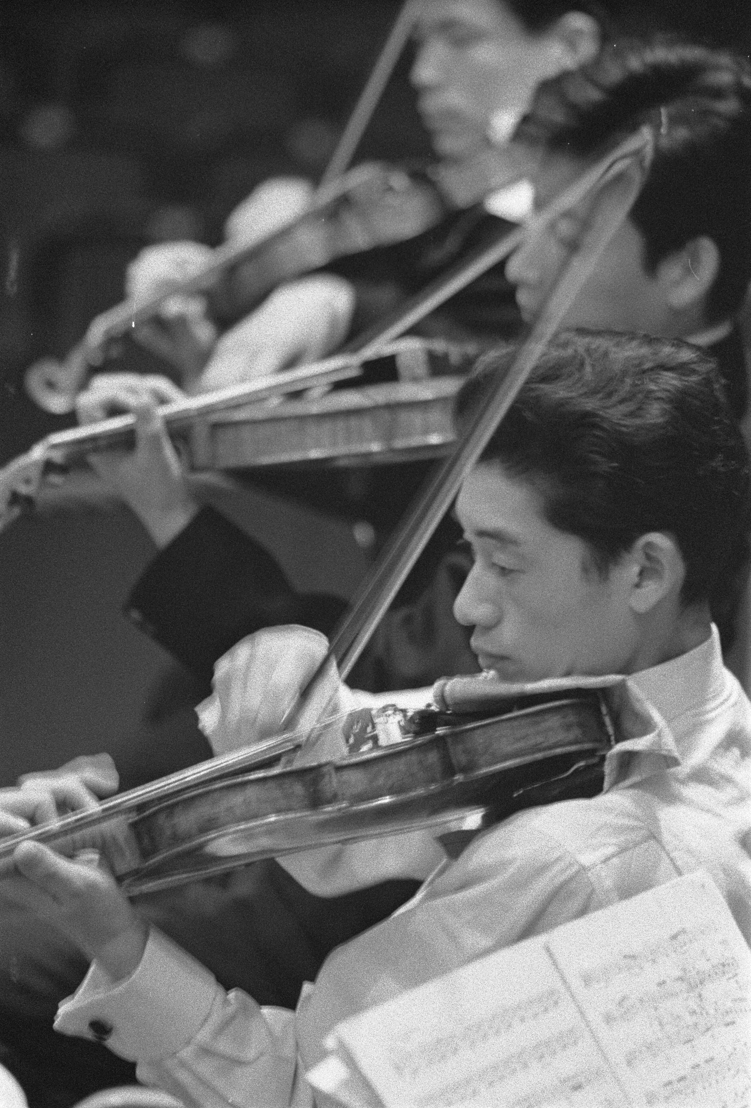 Fotocollectie Anefo — Repetitie Tokyo's Philharmonisch Orkest te Den Haag, enkele strijkers tijdens repetitie — Foto: Pot, Harry / Anefo. Licentie: Set B: Rechtenvrij / Publiek Domein. Bron: Nationaal Archief. http://hdl.handle.net/10648/a9bdb1fc-d0b4-102d-bcf8-003048976d84