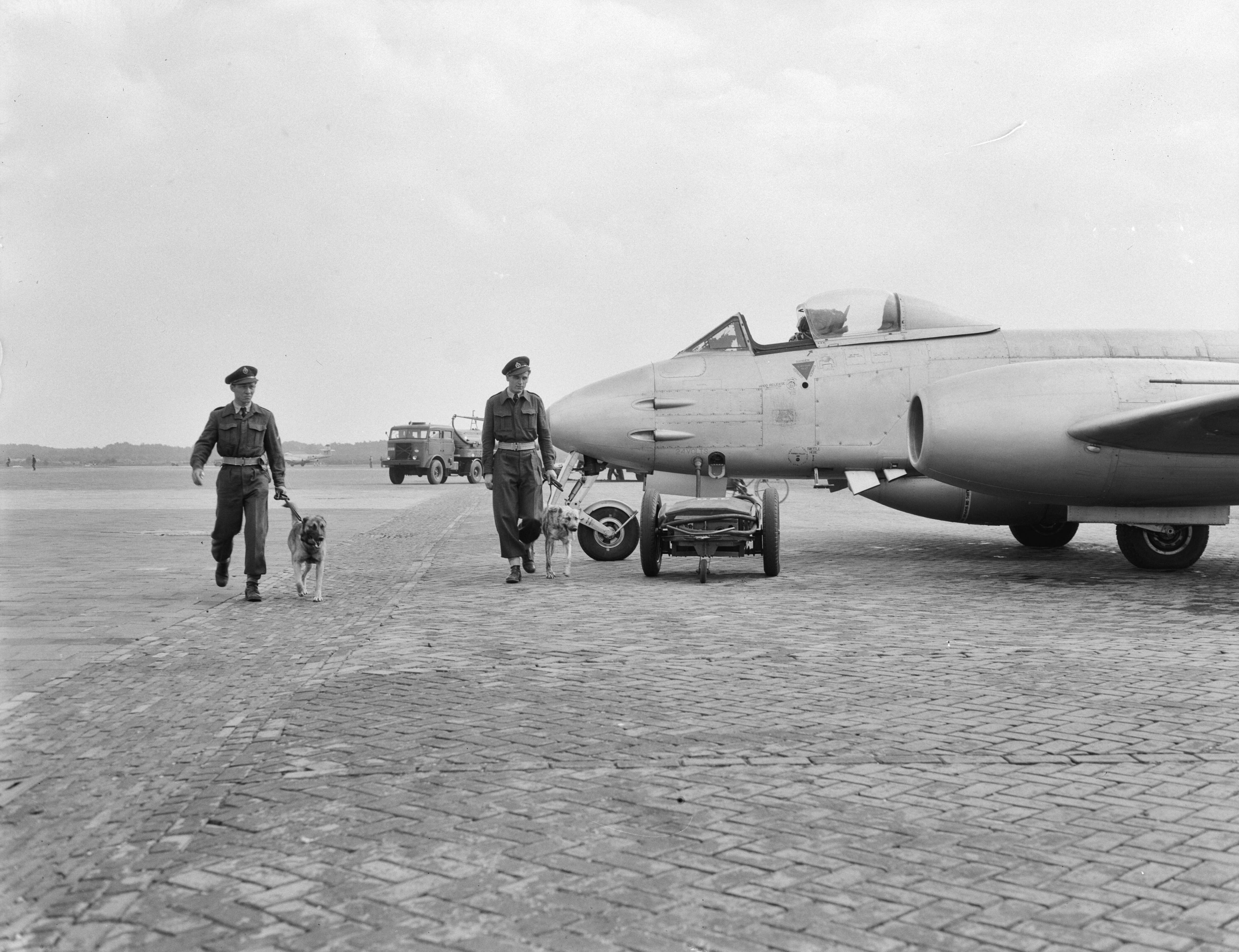 Luchtmachtoefening Soesterberg — Luchtmachtoefening Soesterberg. Bewakingshonden — Foto: Consenheim, Wim / Anefo. Licentie: Set B: Rechtenvrij / Publiek Domein. Bron: Nationaal Archief. http://hdl.handle.net/10648/a8ffadd8-d0b4-102d-bcf8-003048976d84