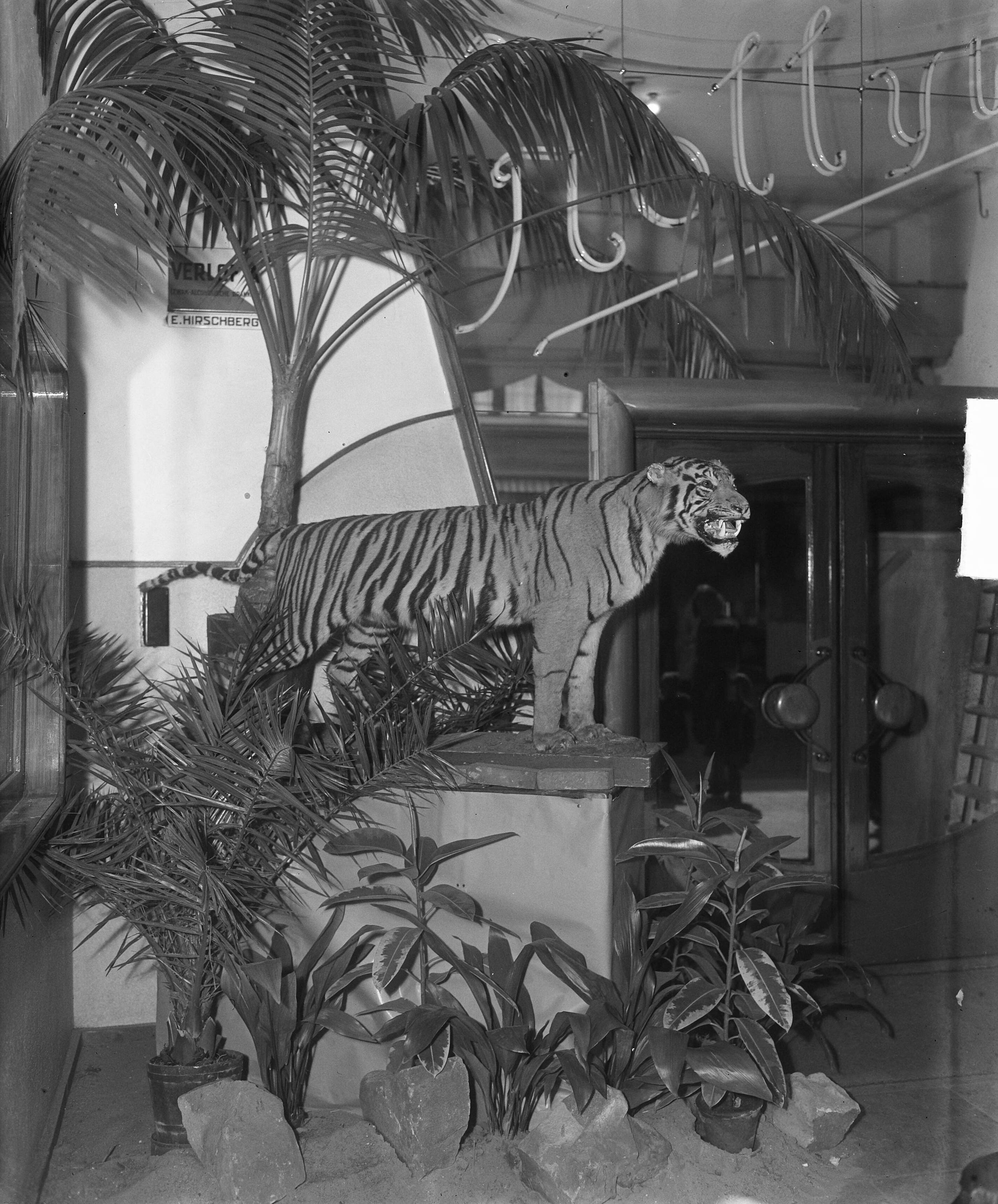 Fotocollectie Anefo — Reclame voor de film "Song of India" in hal bioscoop Hollywood — Foto: Winterbergen, Rolf / Anefo. Licentie: Set B: Rechtenvrij / Publiek Domein. Bron: Nationaal Archief. http://hdl.handle.net/10648/a8d6ffbe-d0b4-102d-bcf8-003048976d84