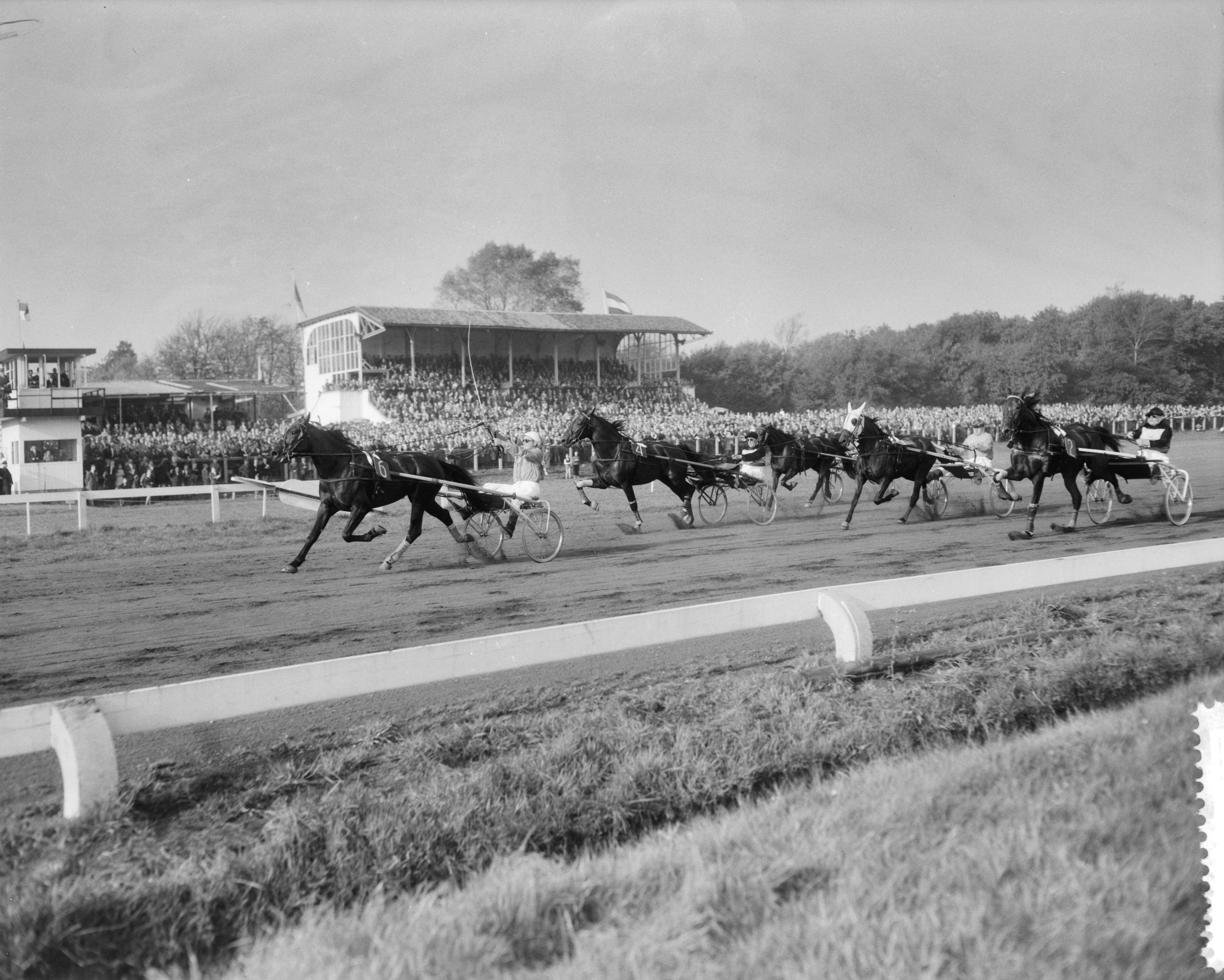 Fotocollectie Anefo — Draverijen Nederland tegen België op Duindigt — Foto: Pot, Harry / Anefo. Licentie: Set B: Rechtenvrij / Publiek Domein. Bron: Nationaal Archief. http://hdl.handle.net/10648/a96c456a-d0b4-102d-bcf8-003048976d84