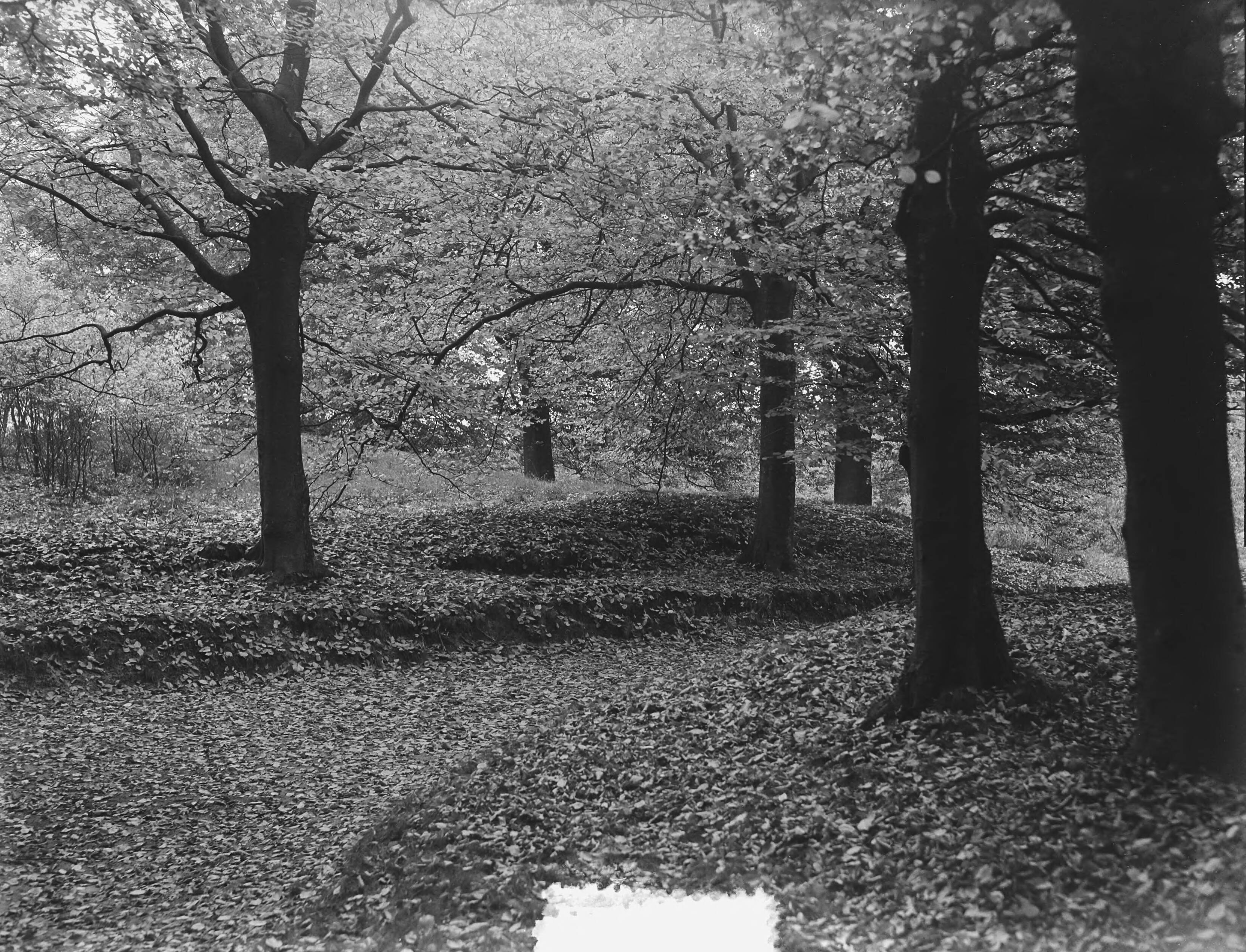 Fotocollectie Anefo — Herfstbosplaatjes om Hilversum — Foto: Behrens, Herbert F. / Anefo. Licentie: Set B: Rechtenvrij / Publiek Domein. Bron: Nationaal Archief. http://hdl.handle.net/10648/a915df40-d0b4-102d-bcf8-003048976d84