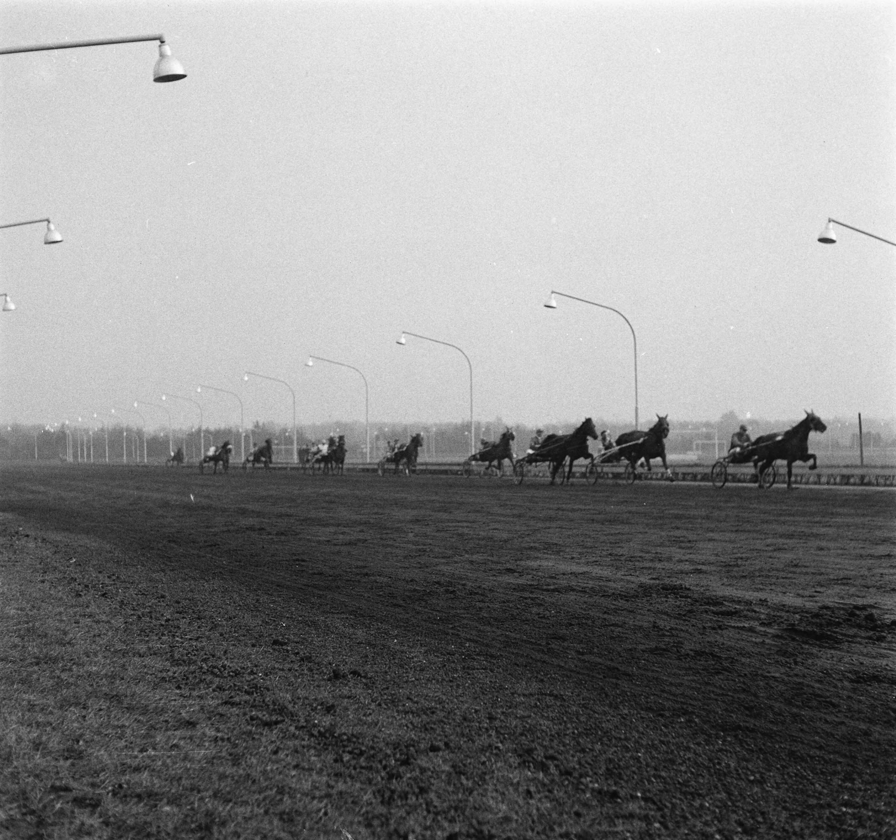 Fotocollectie Anefo — Draverijen Hilversum, Gentleman prijs — Foto: Behrens, Herbert F. / Anefo. Licentie: Set B: Rechtenvrij / Publiek Domein. Bron: Nationaal Archief. http://hdl.handle.net/10648/a942456c-d0b4-102d-bcf8-003048976d84