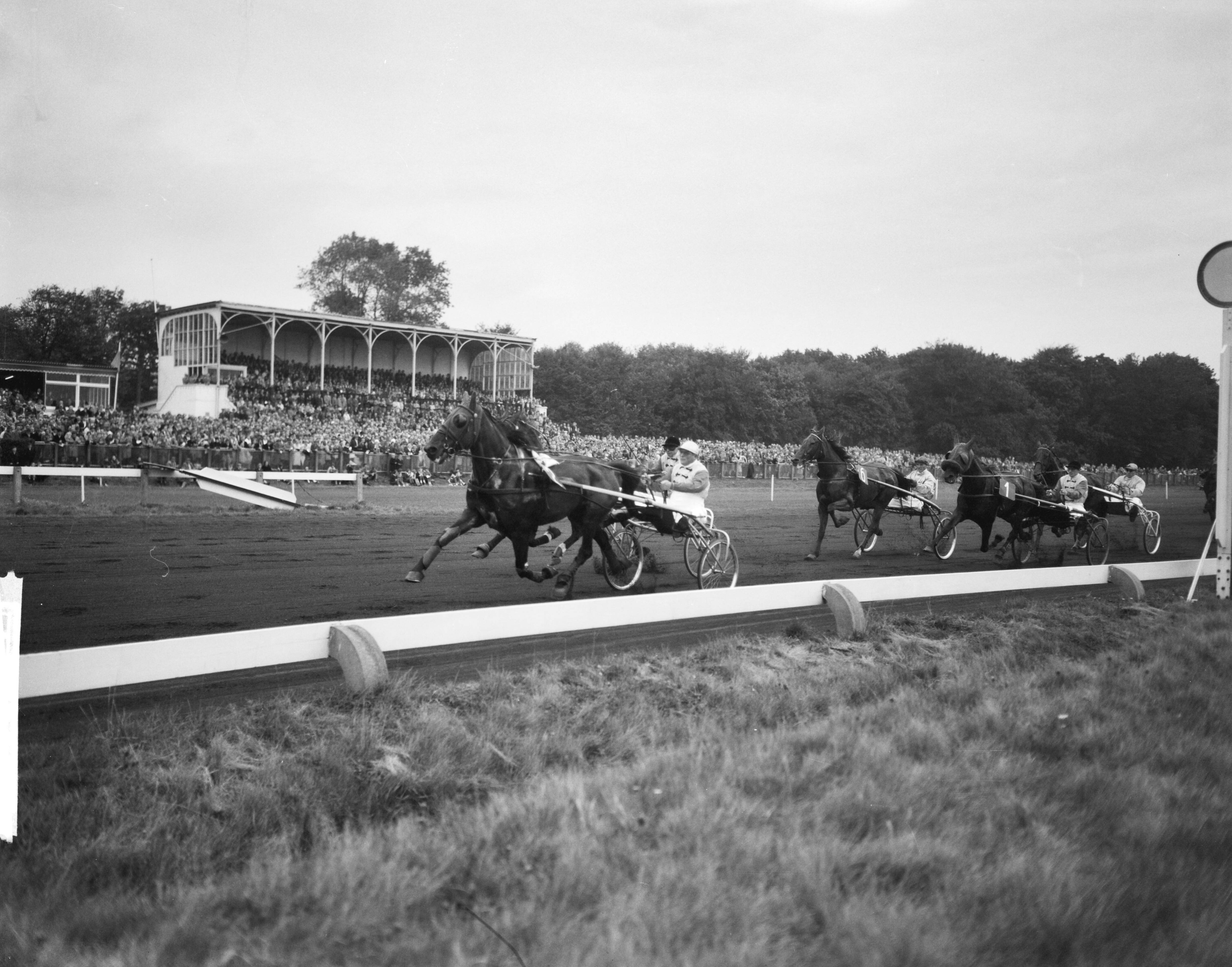 Fotocollectie Anefo — Draverijen te Duindigt — Foto: Bilsen, Joop van / Anefo. Licentie: Set B: Rechtenvrij / Publiek Domein. Bron: Nationaal Archief. http://hdl.handle.net/10648/aa198554-d0b4-102d-bcf8-003048976d84