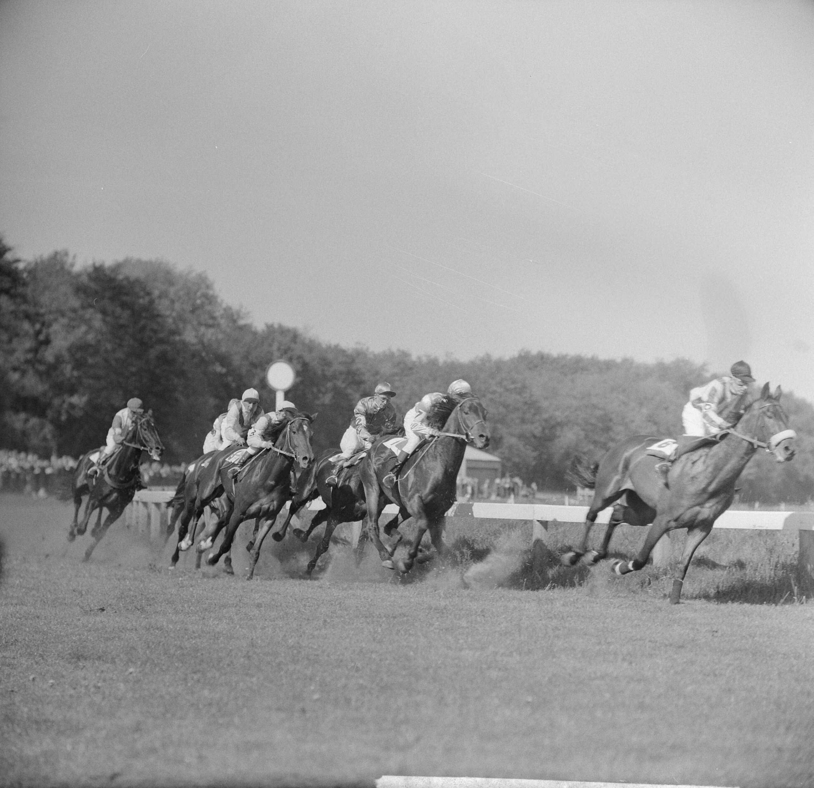 Fotocollectie Anefo — Derby op Duindigt (Flocondor) — Foto: Nijs, Jac. de / Anefo. Licentie: Set B: Rechtenvrij / Publiek Domein. Bron: Nationaal Archief. http://hdl.handle.net/10648/aa0b0ede-d0b4-102d-bcf8-003048976d84