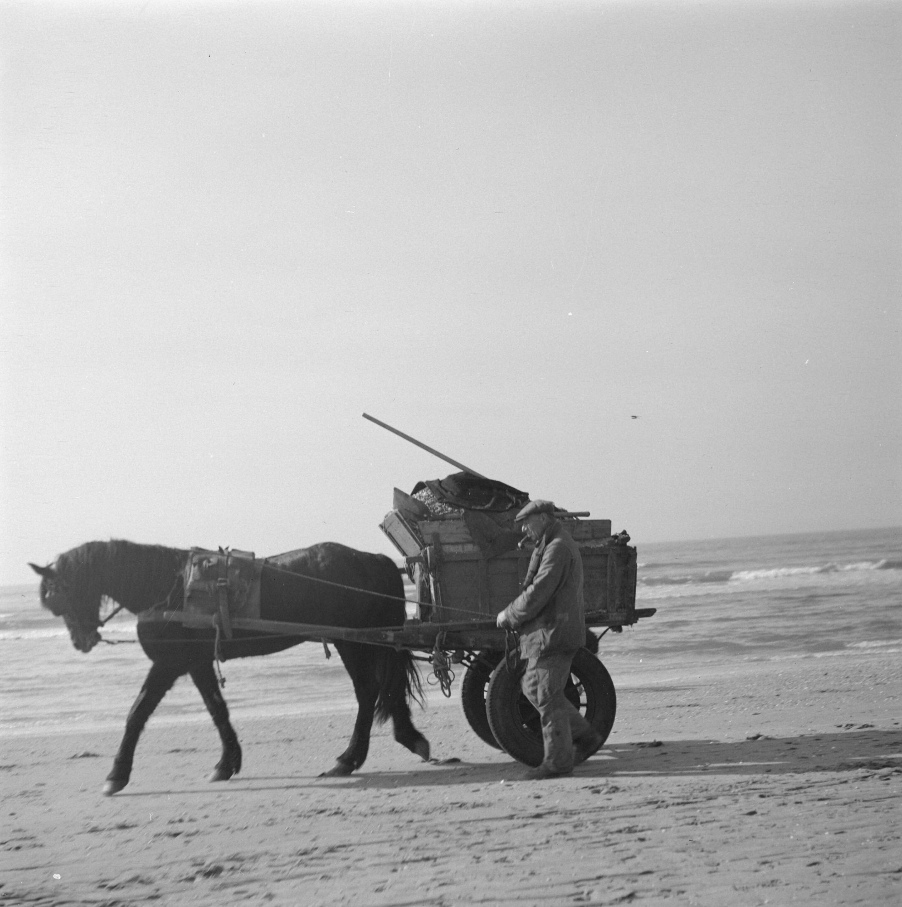 Fotocollectie Anefo — Schelpenkar op het strand van Zandvoort — Foto: Gräper, Hanny / Anefo. Licentie: Set B: Rechtenvrij / Publiek Domein. Bron: Nationaal Archief. http://hdl.handle.net/10648/a89b9924-d0b4-102d-bcf8-003048976d84