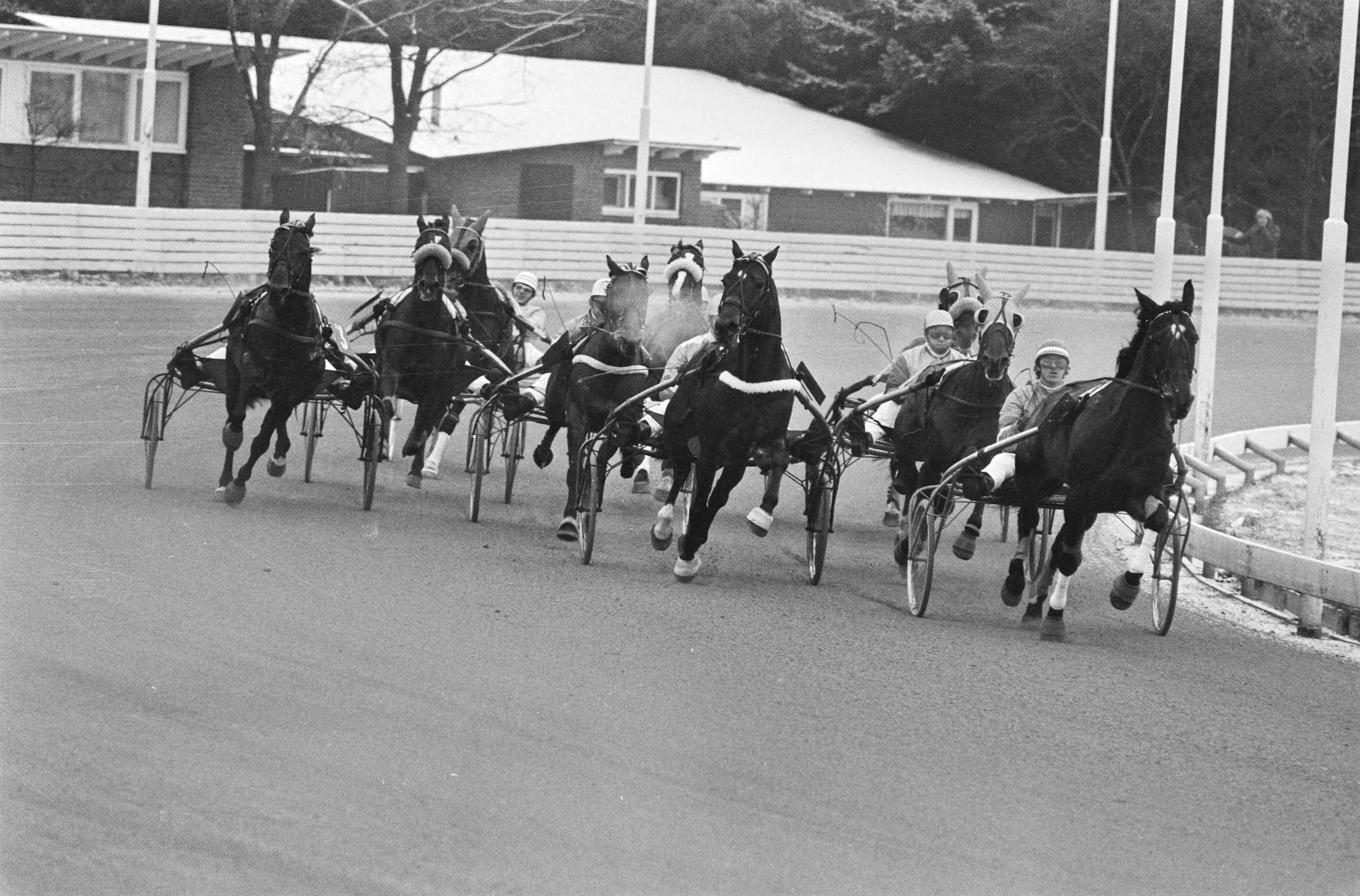 Fotocollectie Anefo — Paardenkoers Grote kerstprijs te Hilversum; nr. 2: twee van rechts Everprice met Hendrikx die tweede serie won, nr. 3: Everprice — Foto: Verhoeff, Bert / Anefo. Licentie: Set B: Rechtenvrij / Publiek Domein. Bron: Nationaal Archief. http://hdl.handle.net/10648/abae6f4c-d0b4-102d-bcf8-003048976d84