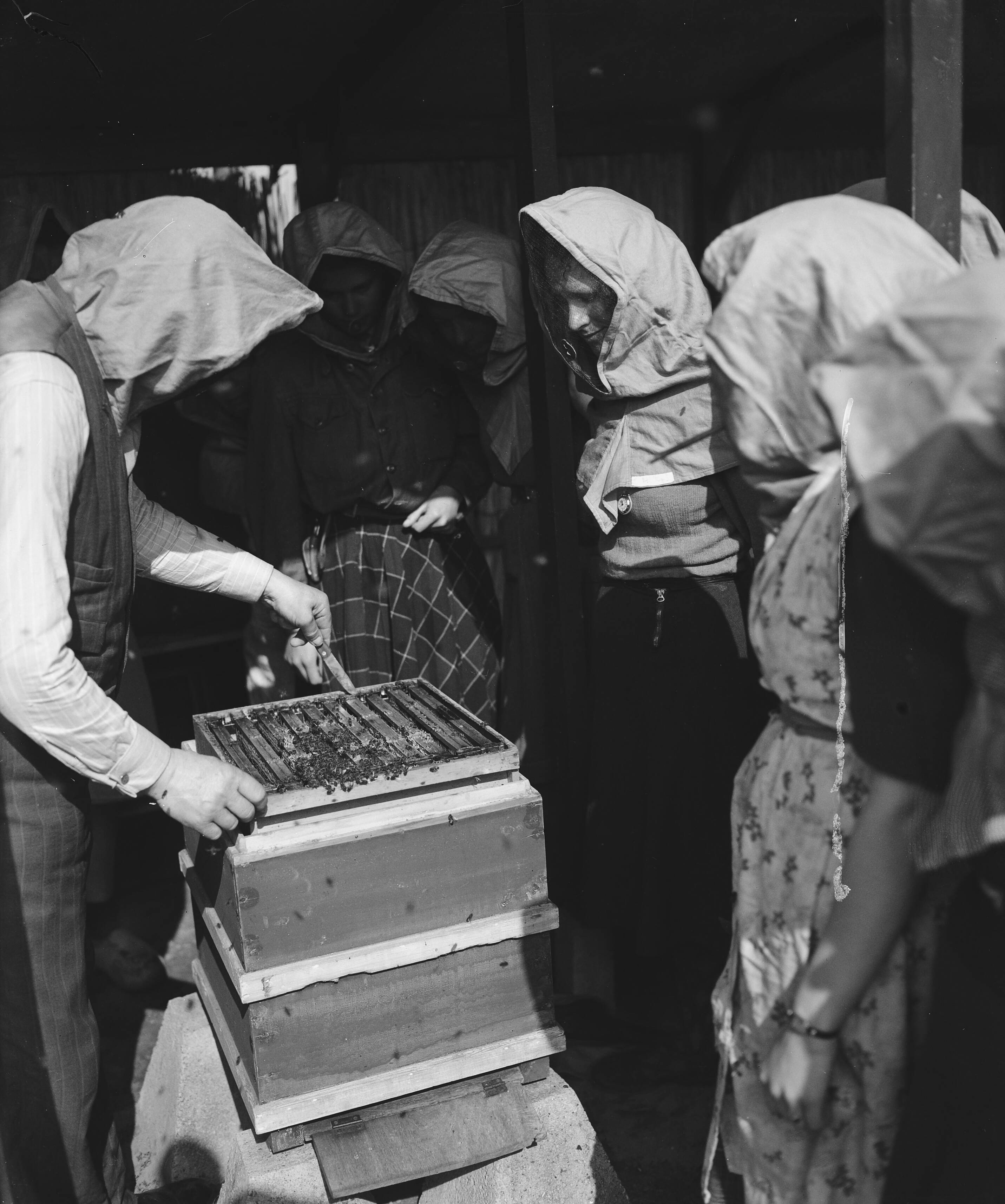 Fotocollectie Anefo — Tuinbouwschool "Huize te Lande" Rijswijk. Een bijenstand behoort ook tot het terrein — Foto: Raucamp, Koos / Anefo. Licentie: Set B: Rechtenvrij / Publiek Domein. Bron: Nationaal Archief. http://hdl.handle.net/10648/a89b4a3c-d0b4-102d-bcf8-003048976d84