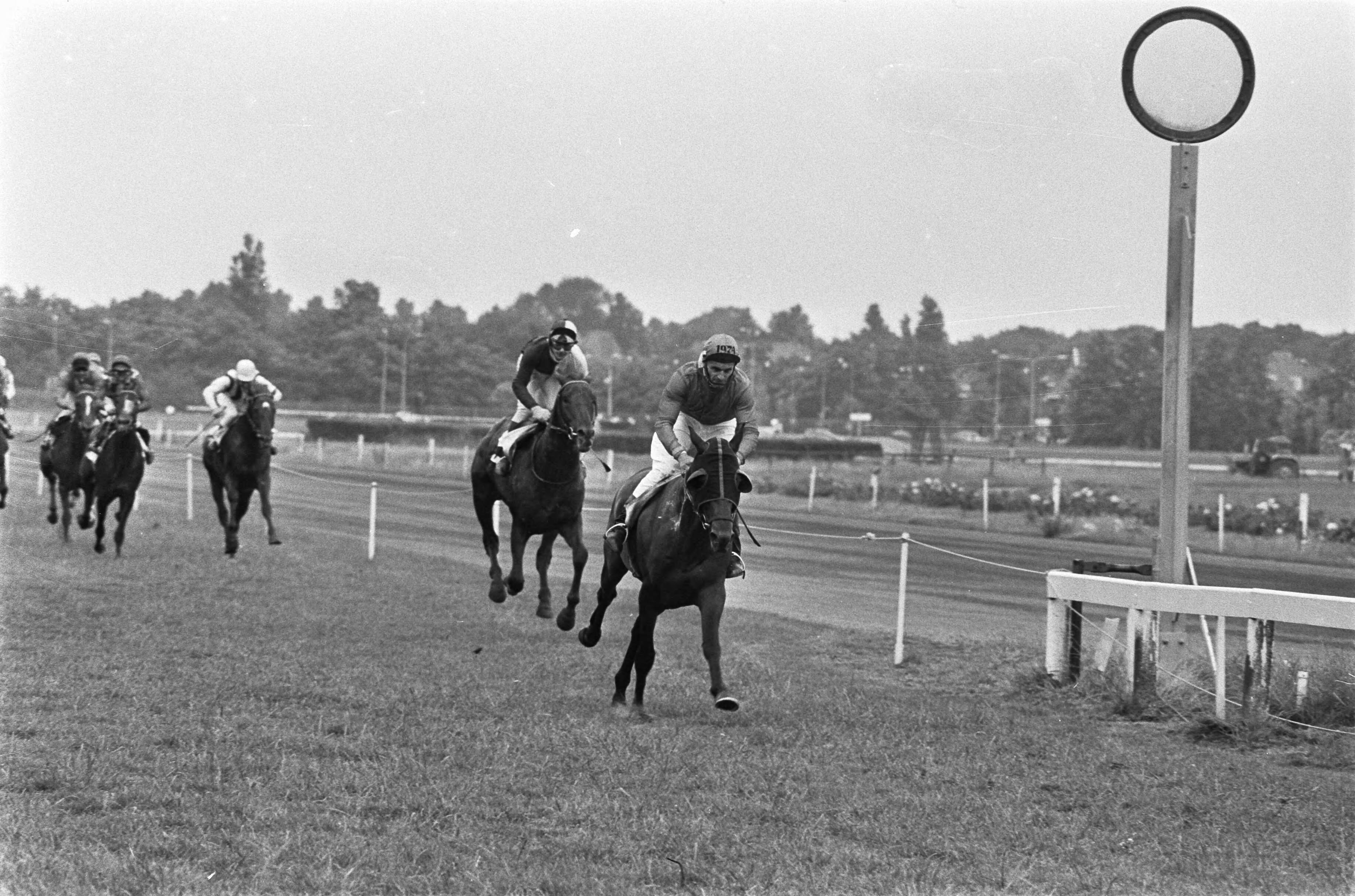 Fotocollectie Anefo — Derby van Duindigt 1975; Henk van der Kraats met Rhodos finisht als eerste met als tweede Mac Garrity met Jan — Foto: Verhoeff, Bert / Anefo. Licentie: Set B: Rechtenvrij / Publiek Domein. Bron: Nationaal Archief. http://hdl.handle.net/10648/ac6d6b36-d0b4-102d-bcf8-003048976d84